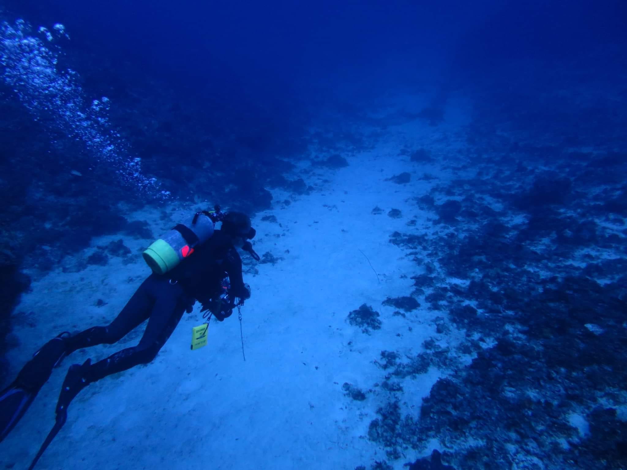 298987990_2643010705830434_6885209216796453504_n