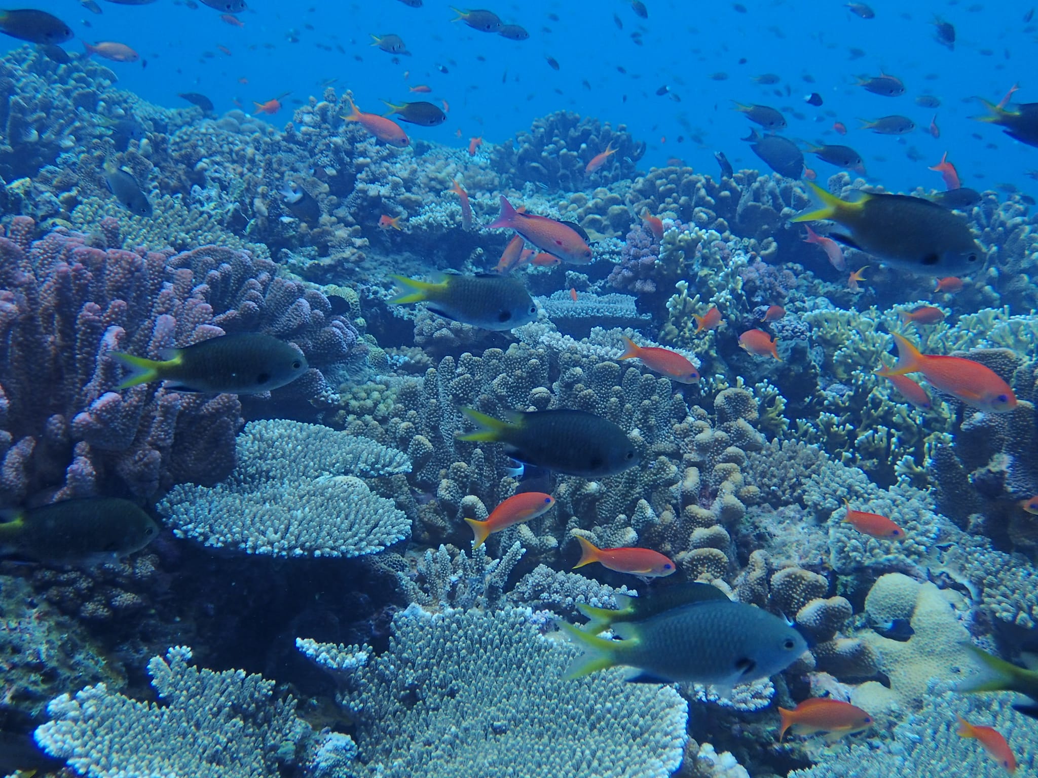 299209853_2643010822497089_6189568113115806870_n