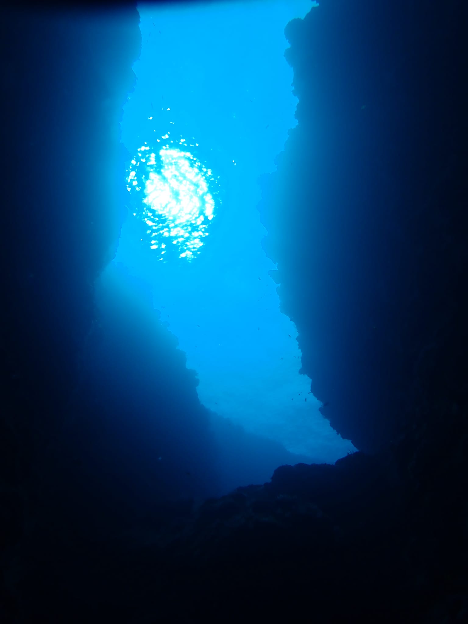 299314761_2643882275743277_4595528897784580307_n