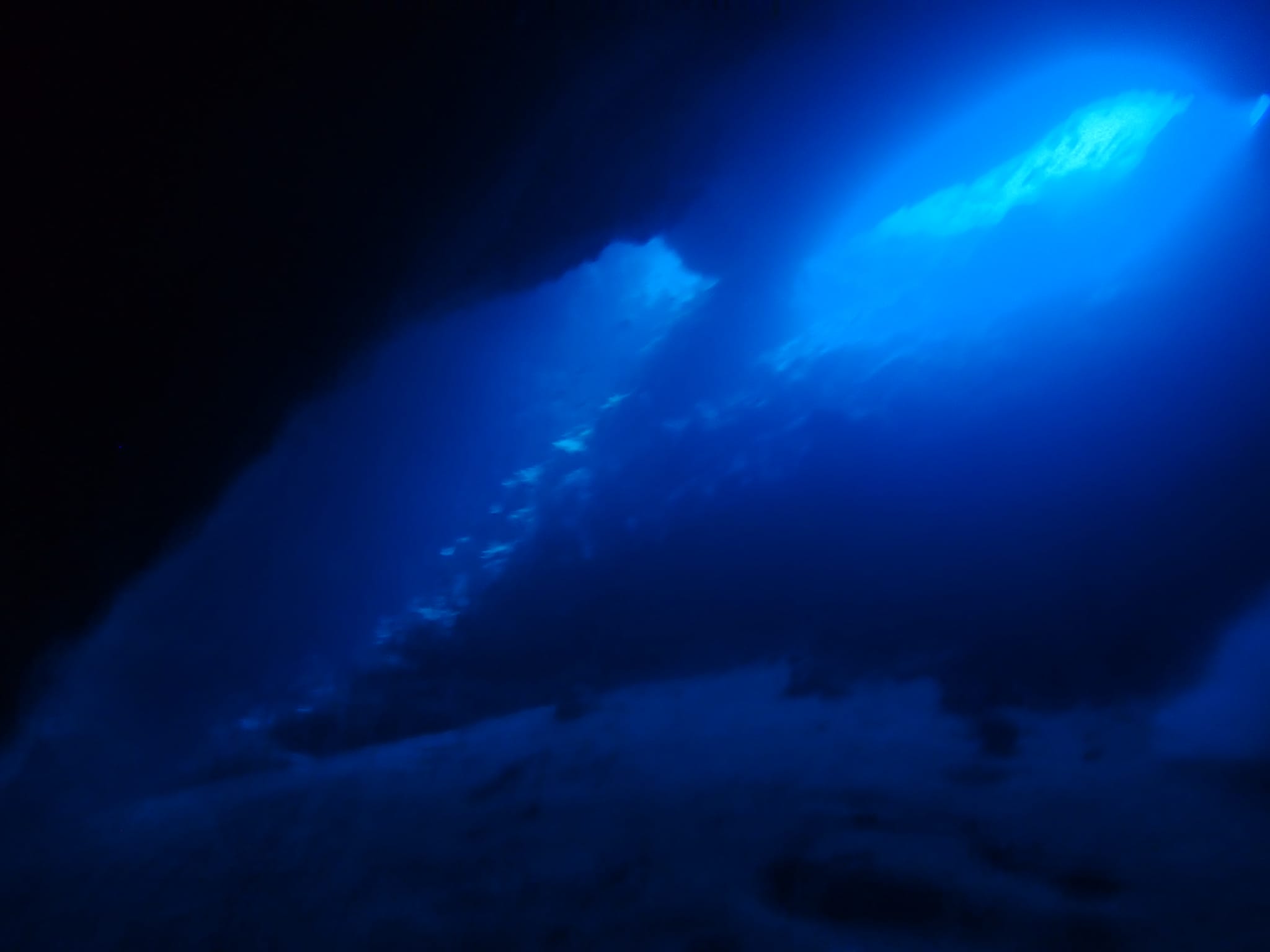 299386536_2644884022309769_7418706105420400113_n