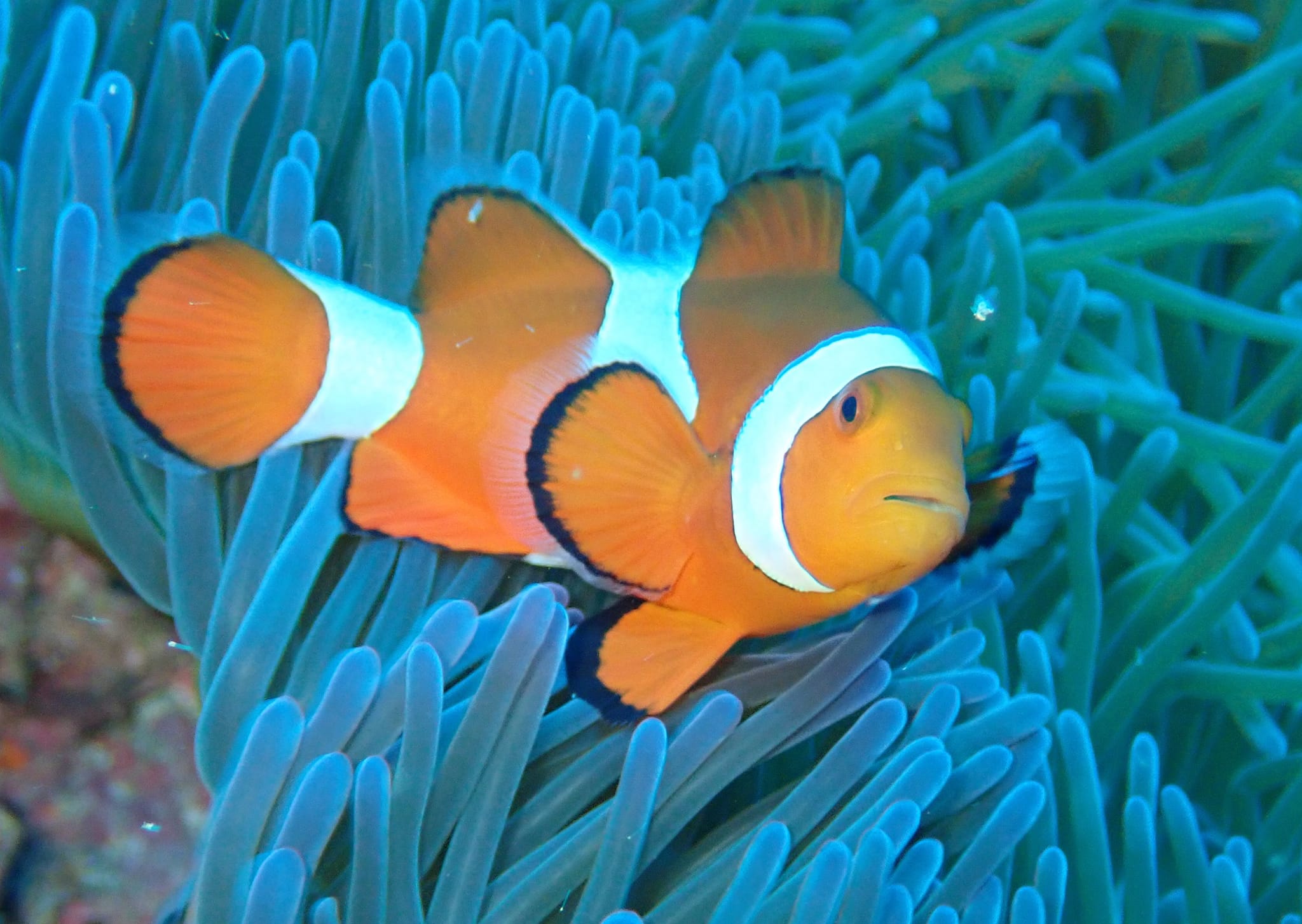 299419877_2644883975643107_5194919669572624500_n