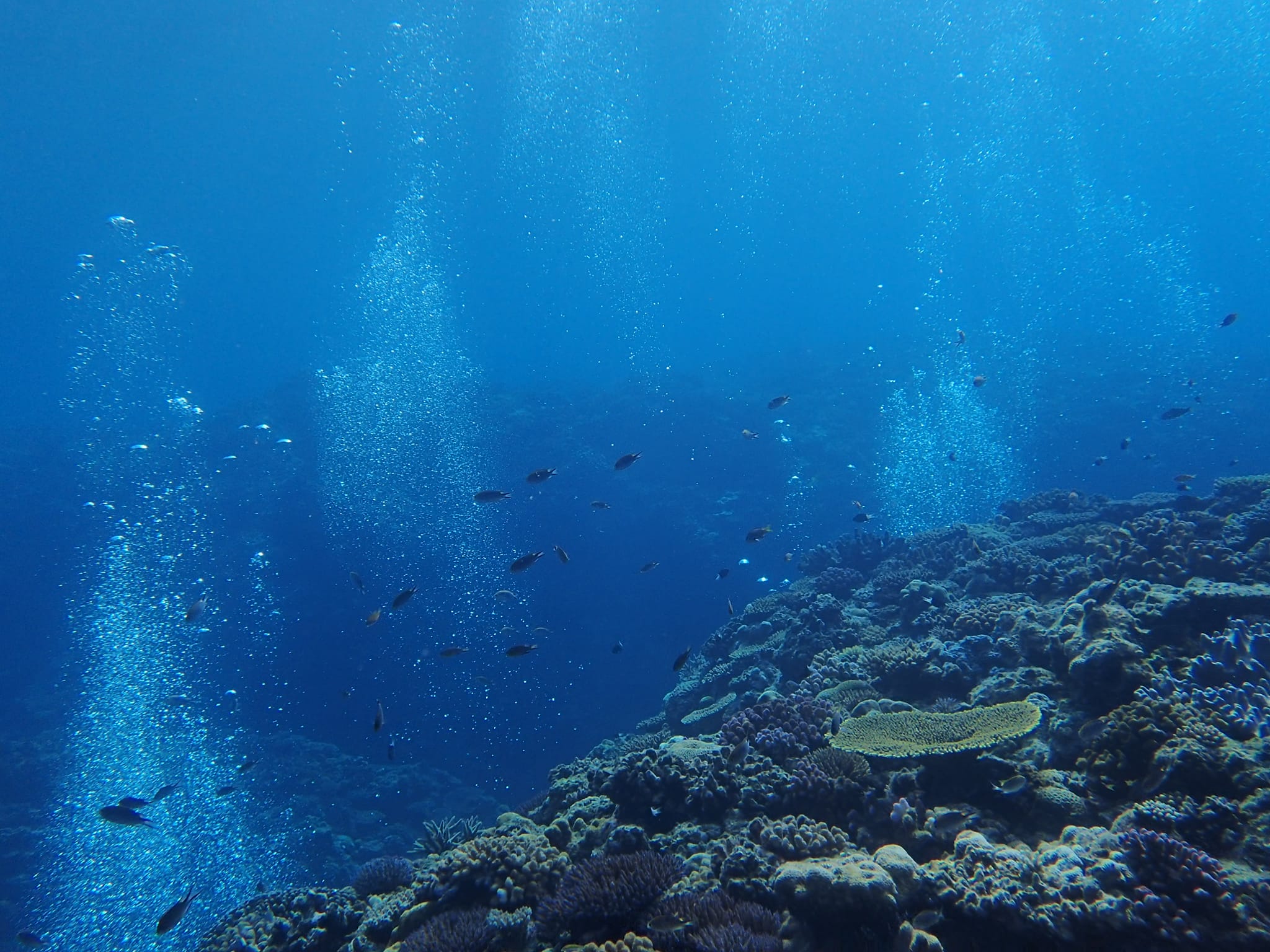 299444909_2643882202409951_7611766955783087567_n