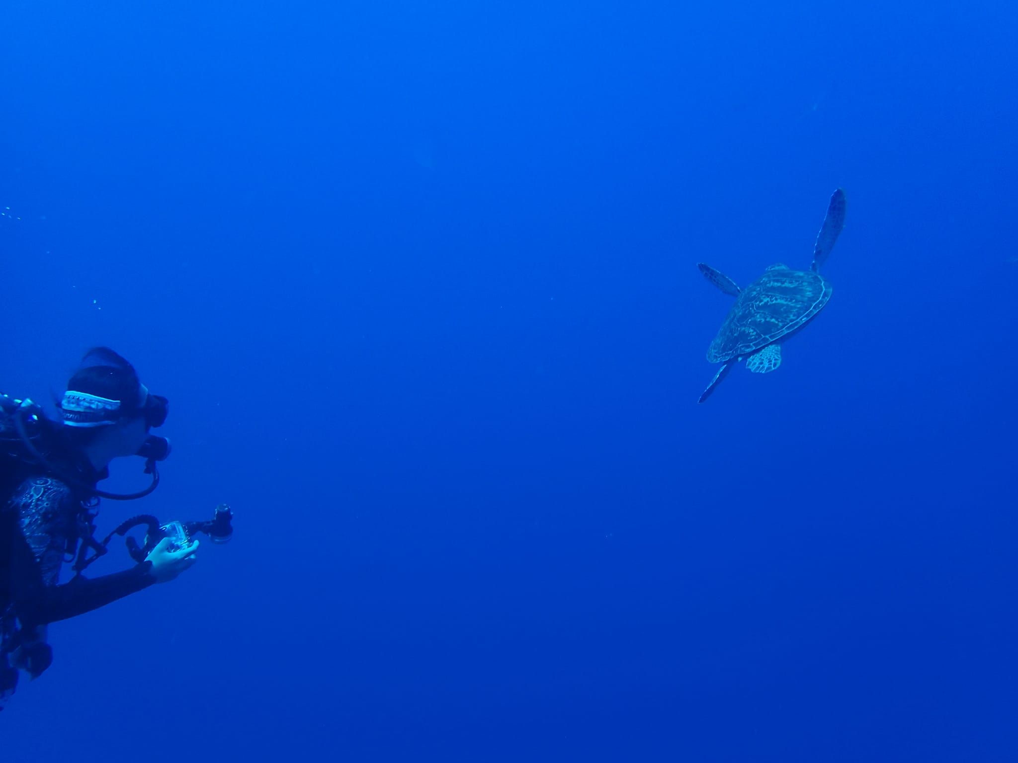 299567368_2645626935568811_2164967033517031373_n