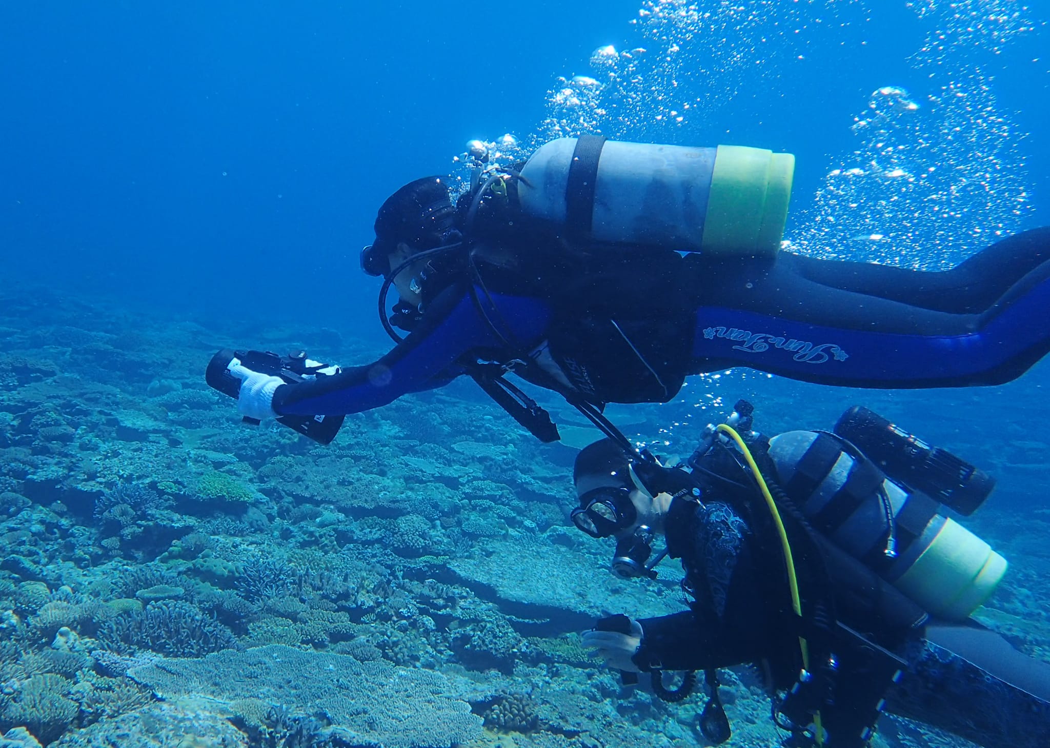 299589261_2644884112309760_8980638033895850730_n