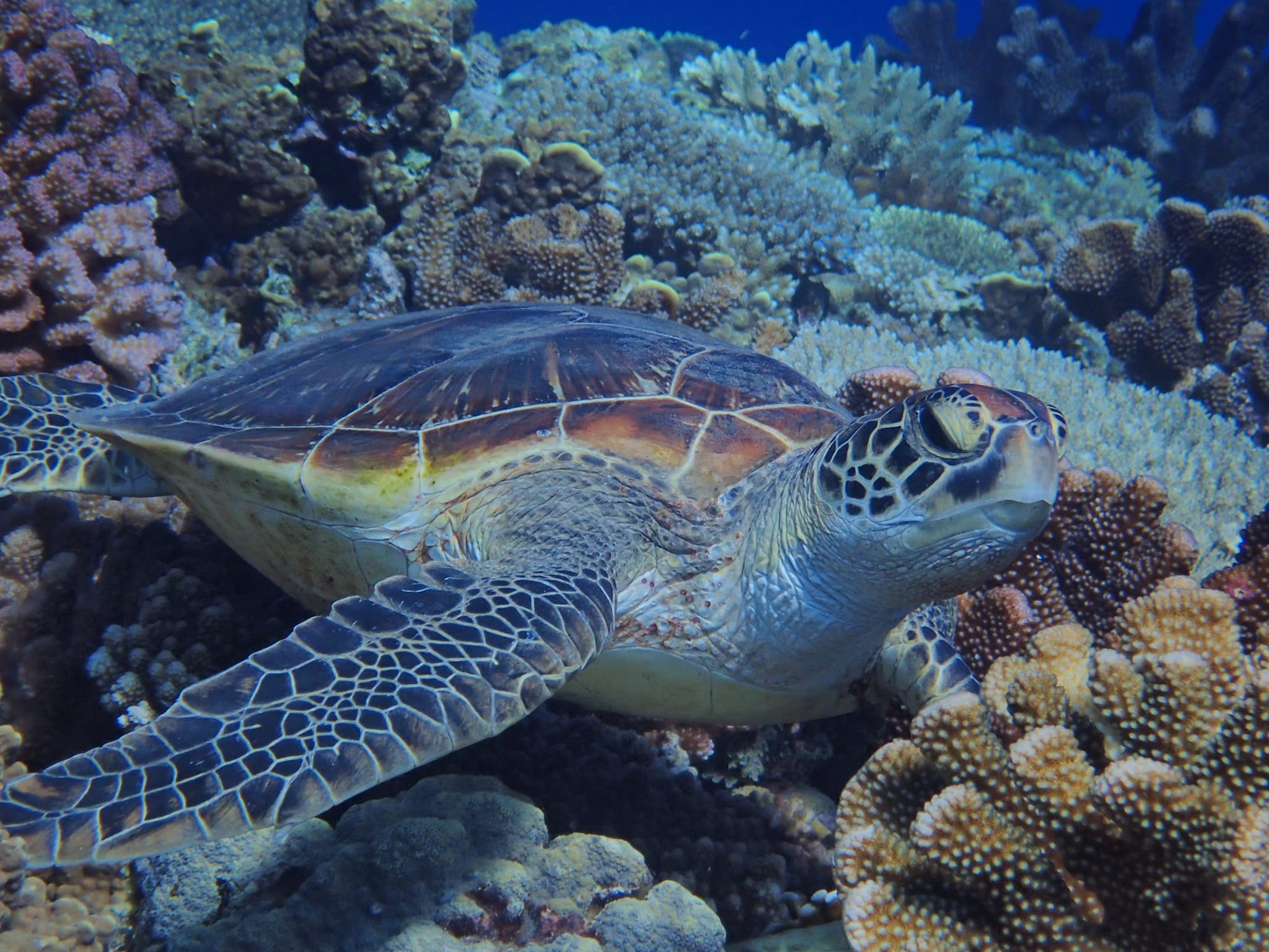 299590253_2645624465569058_989681632436200110_n