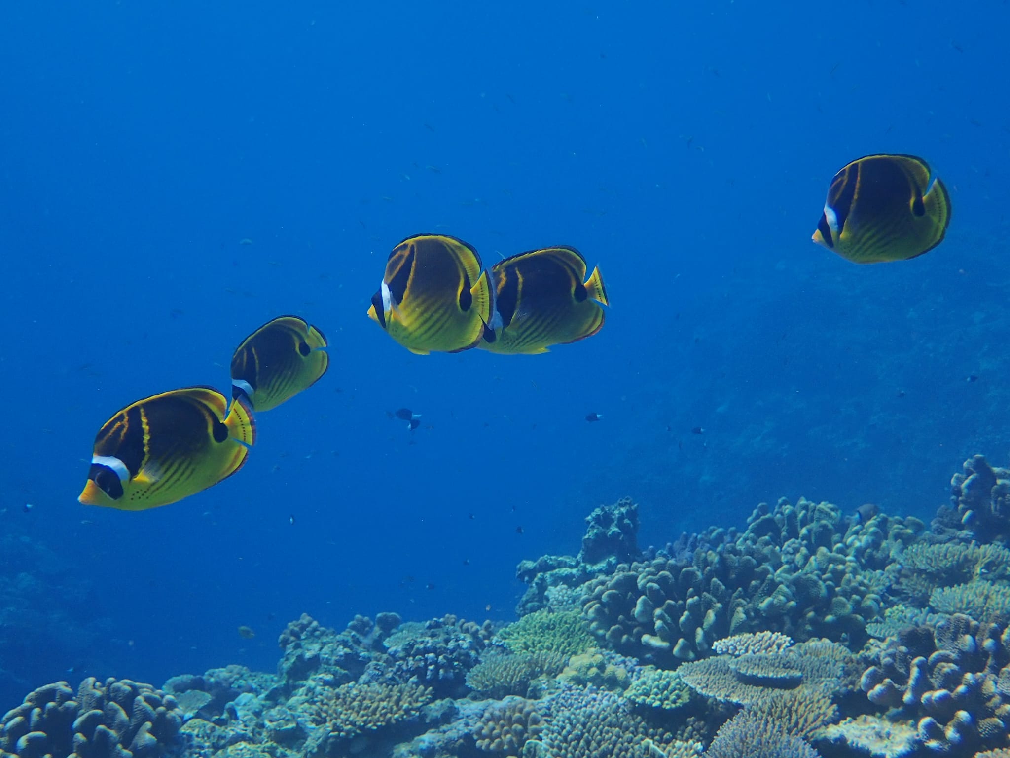 299821119_2646321502166021_7676881963633102466_n