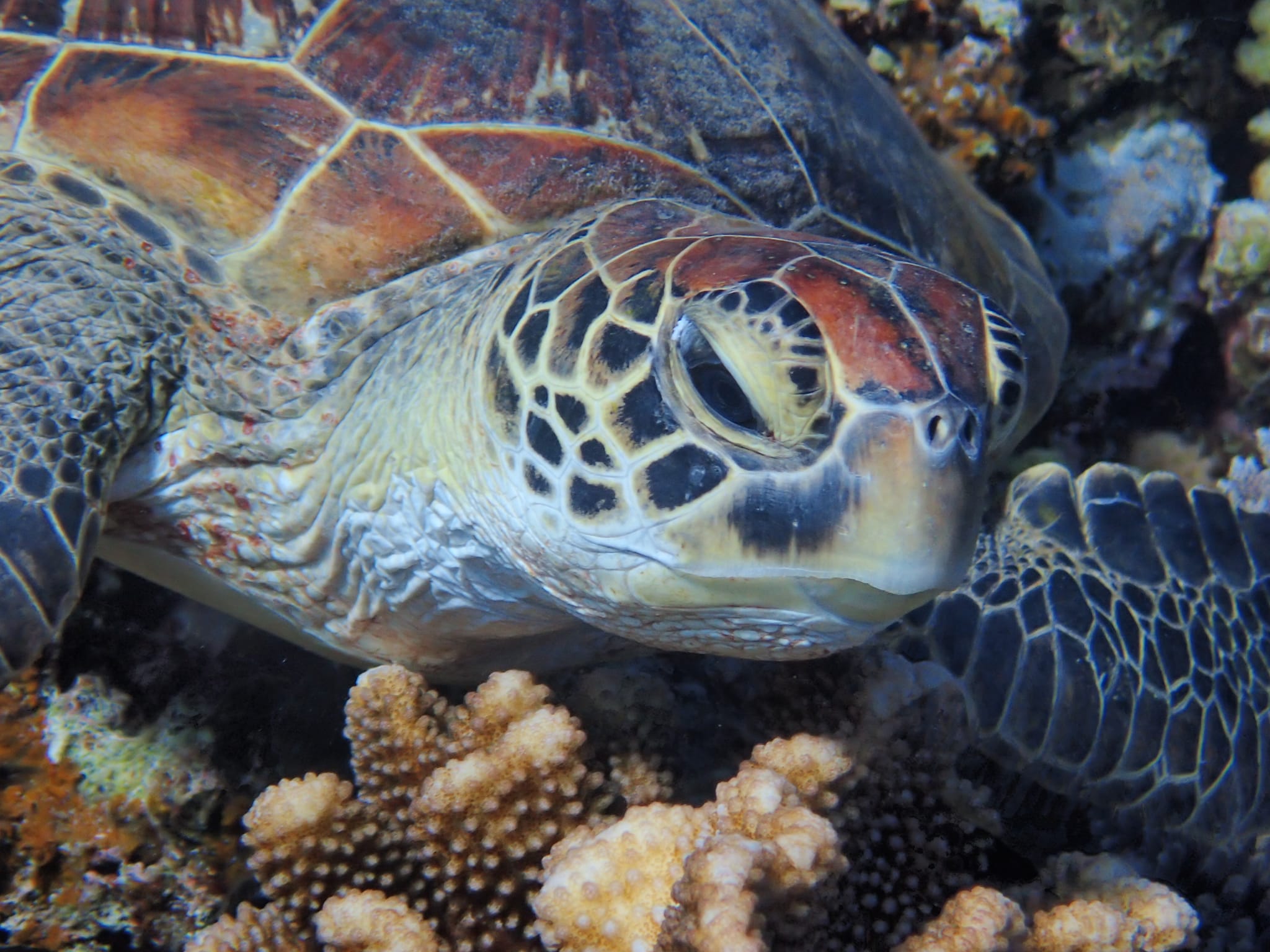 299866641_2646321348832703_1582890149096046995_n