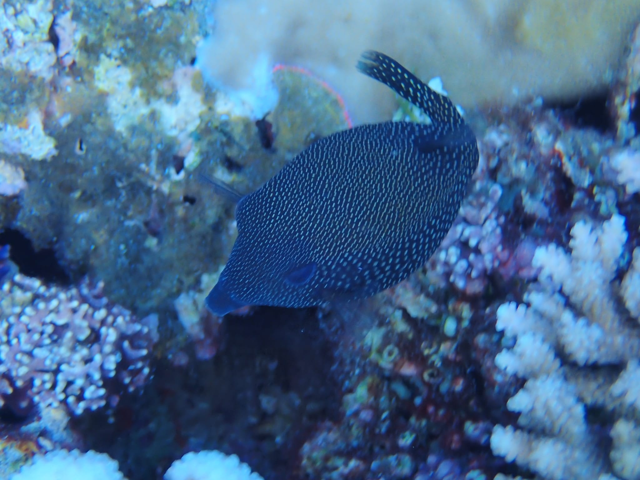 299205013_2647266582071513_9006049477025402556_n