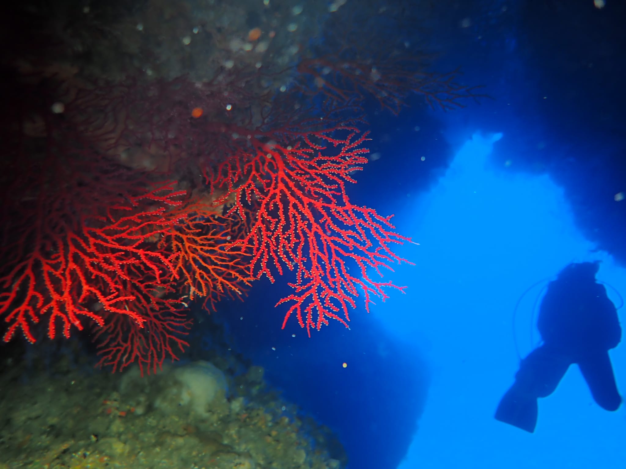 299802136_2647266528738185_1328250790379911986_n