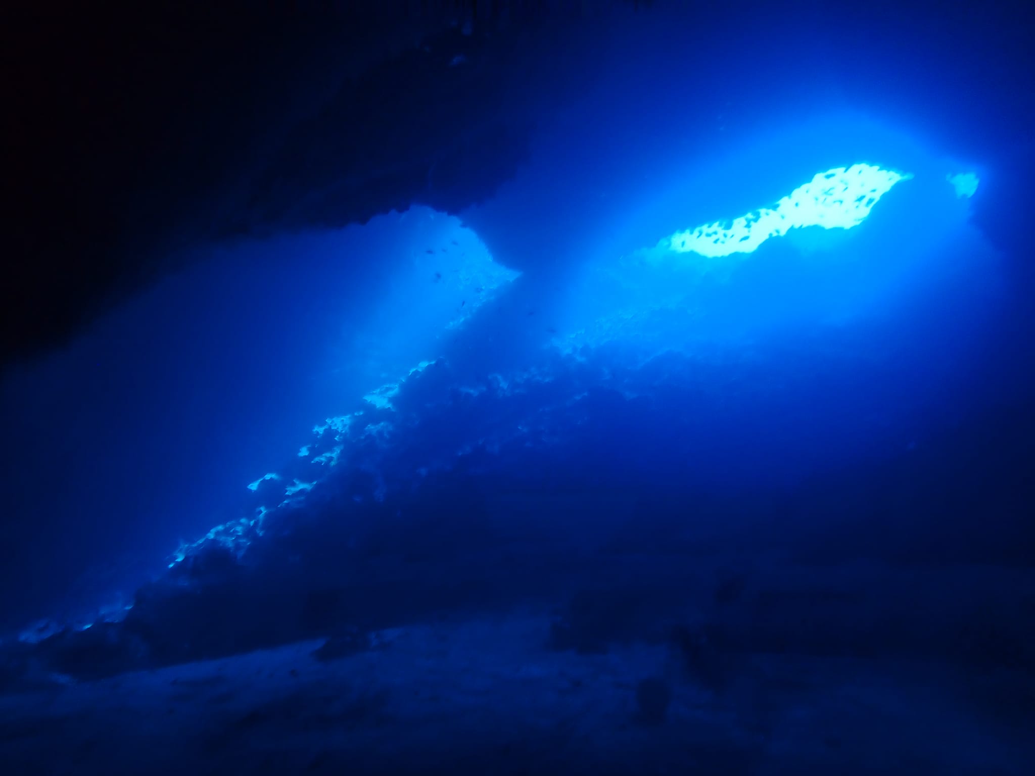 299963466_2647266552071516_8447865535627864534_n