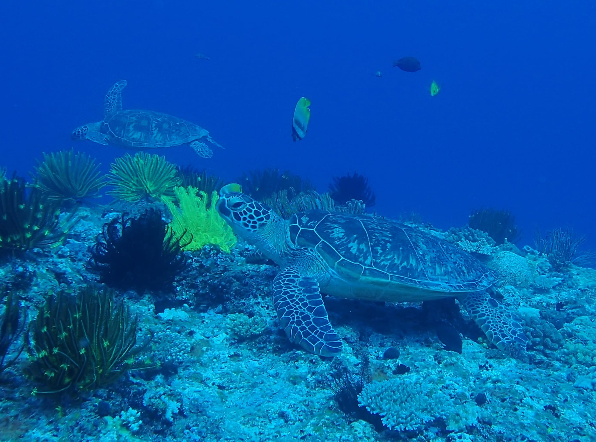 300144540_2647846162013555_8795618000046242321_n