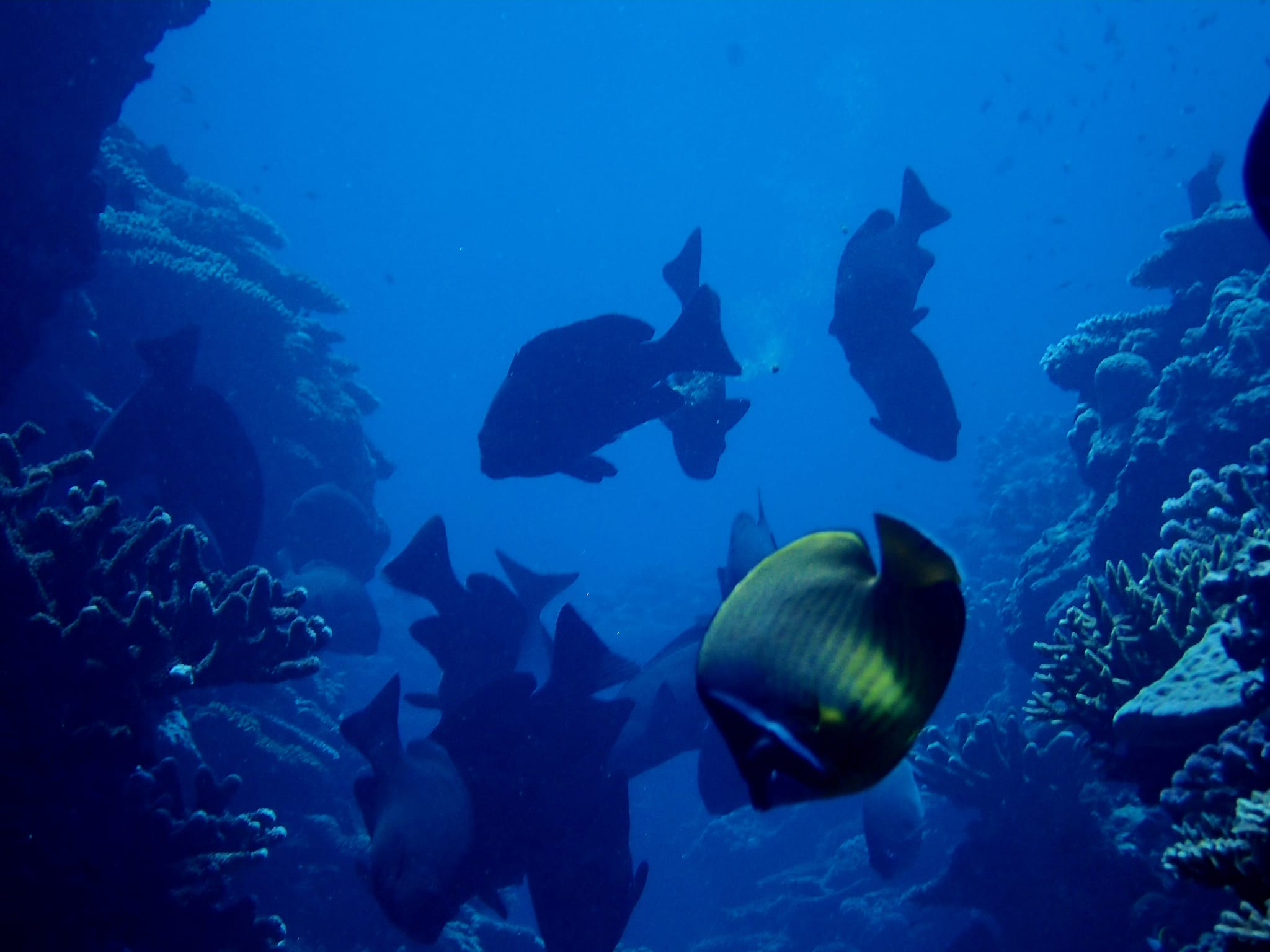 300255034_2648719955259509_8723301480487431967_n