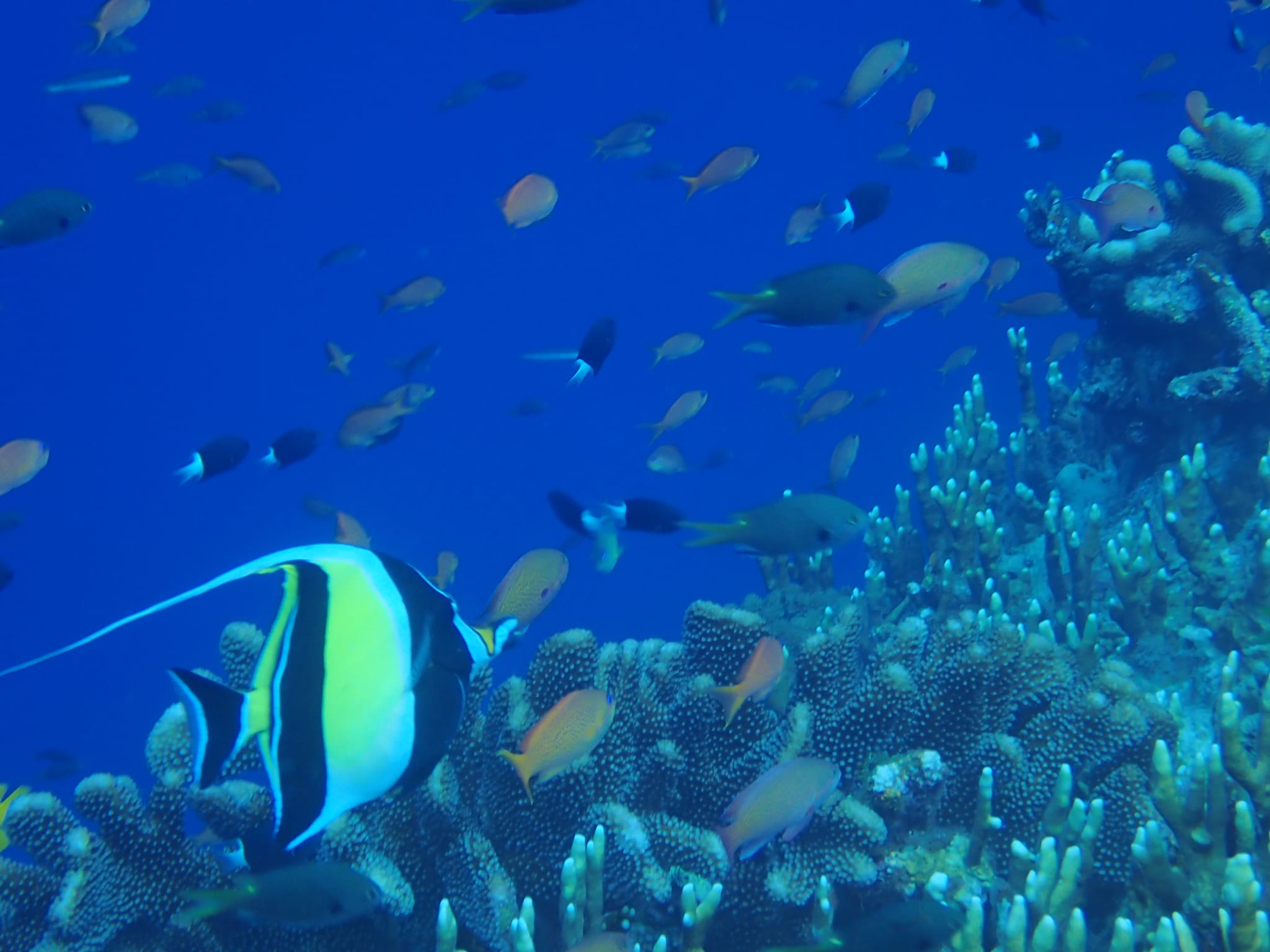 300643055_2650302438434594_1043519139277106033_n