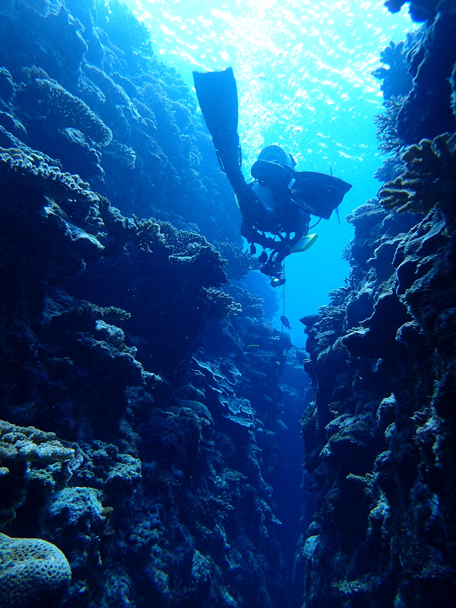 300645702_2650302378434600_8243028228634262202_n