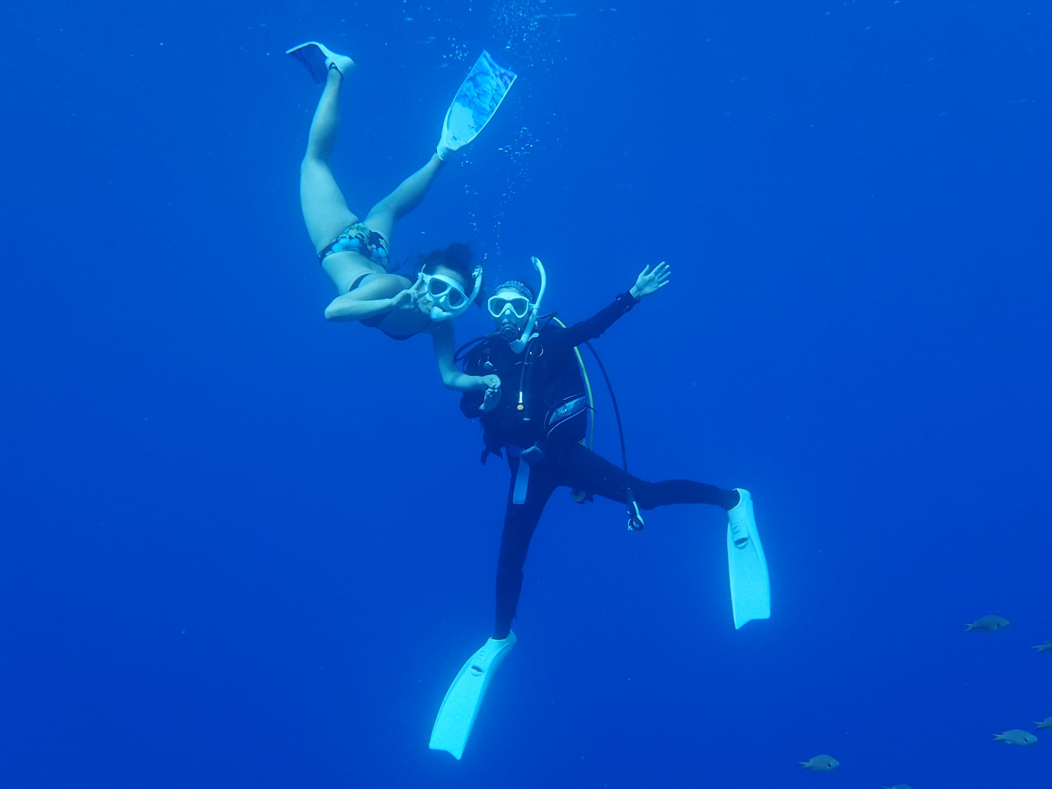 300743631_2649668291831342_5047481712443313612_n