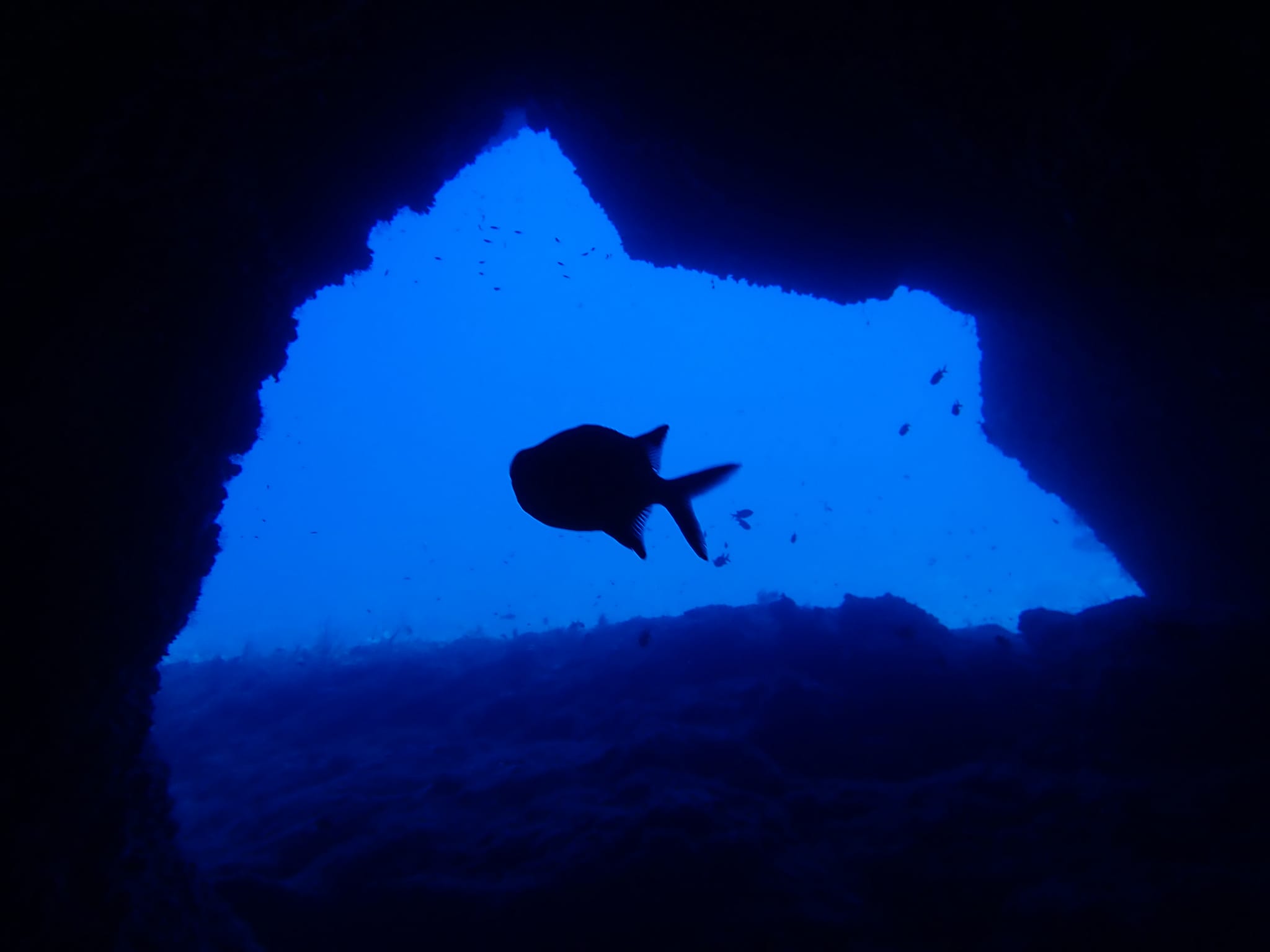 300878301_2650302468434591_1874826740509373207_n