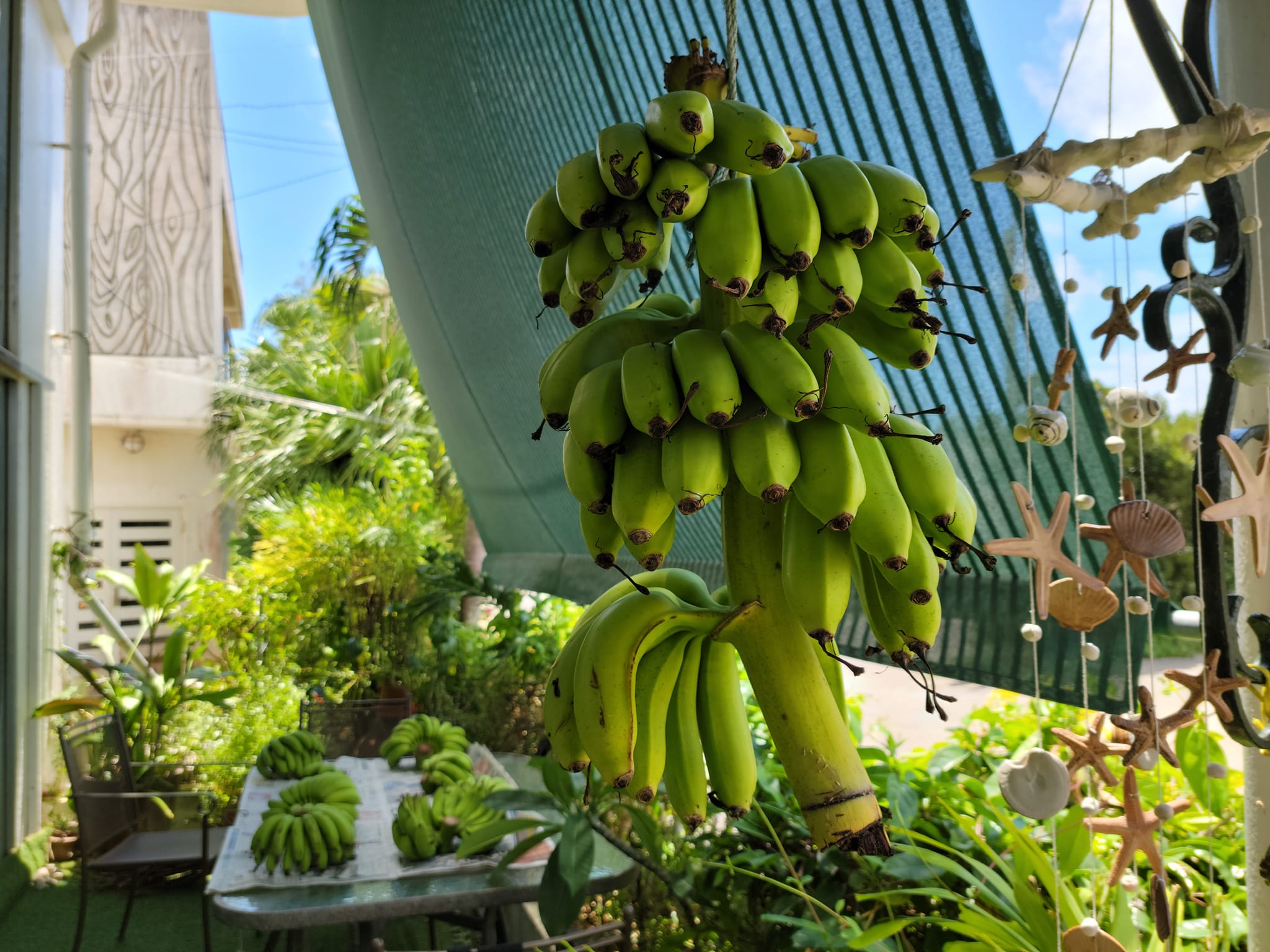 301007801_2651046461693525_5761162989849982784_n