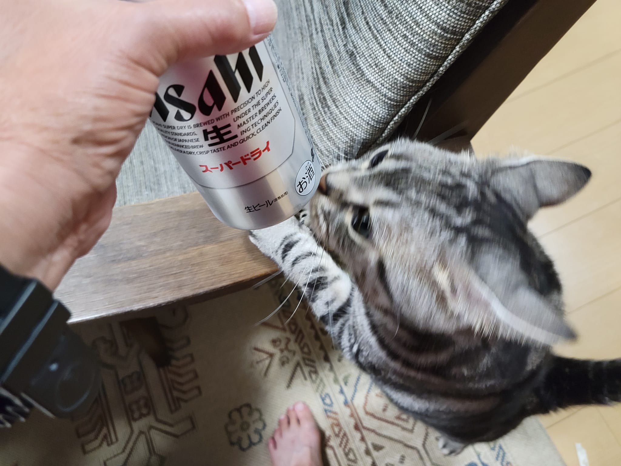 301221745_2653445628120275_7273901008050414110_n