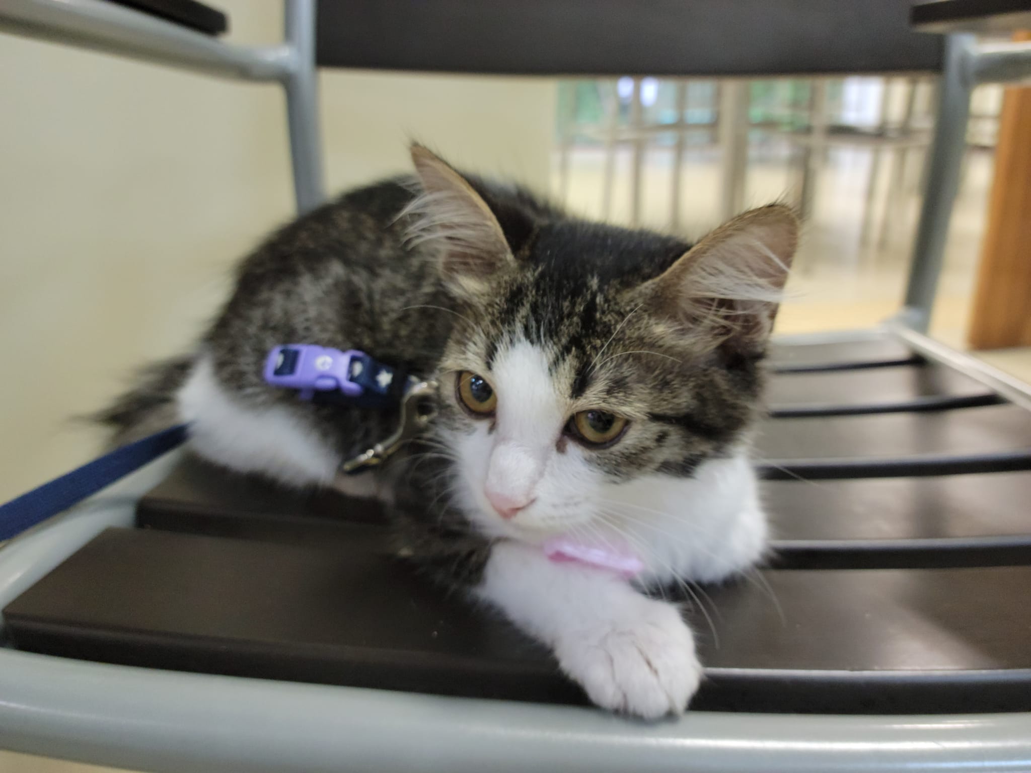 301300218_2652720068192831_8043300450090255065_n