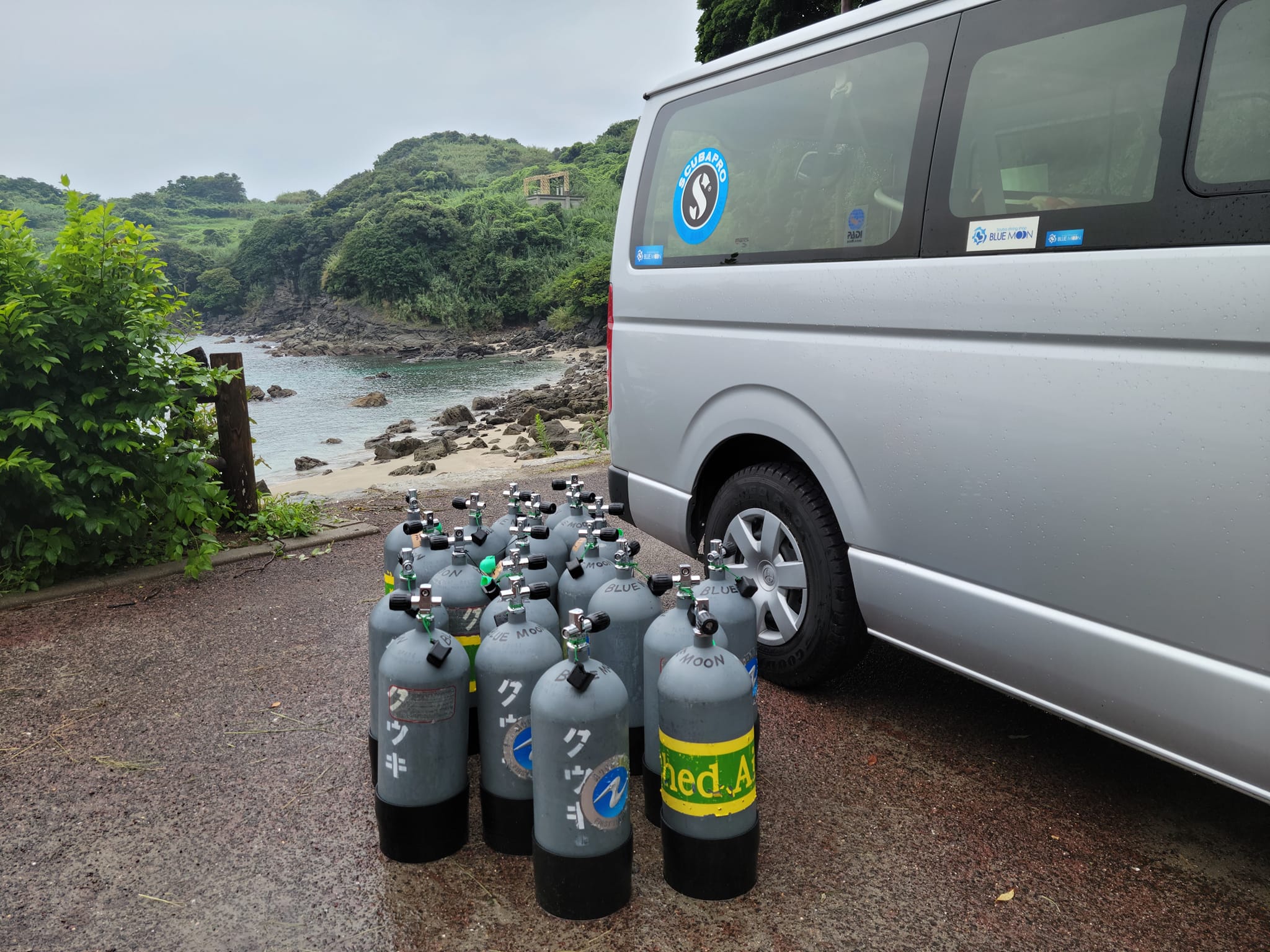 301388861_2652720008192837_2461987993737005610_n