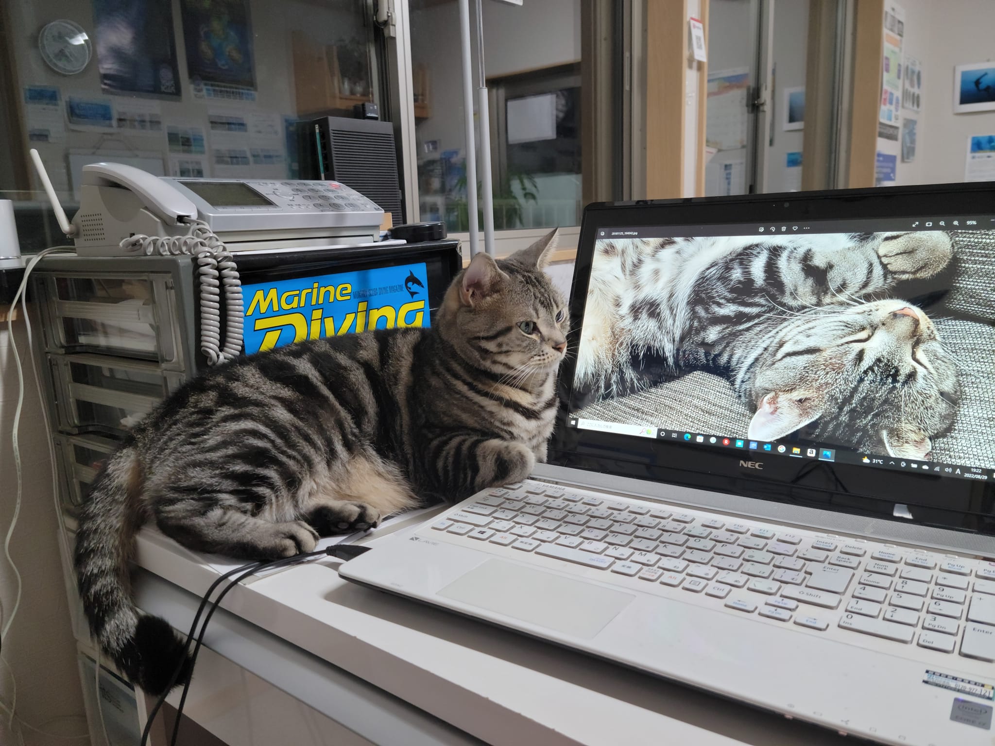 302213029_2657039194427585_9221313197753750404_n