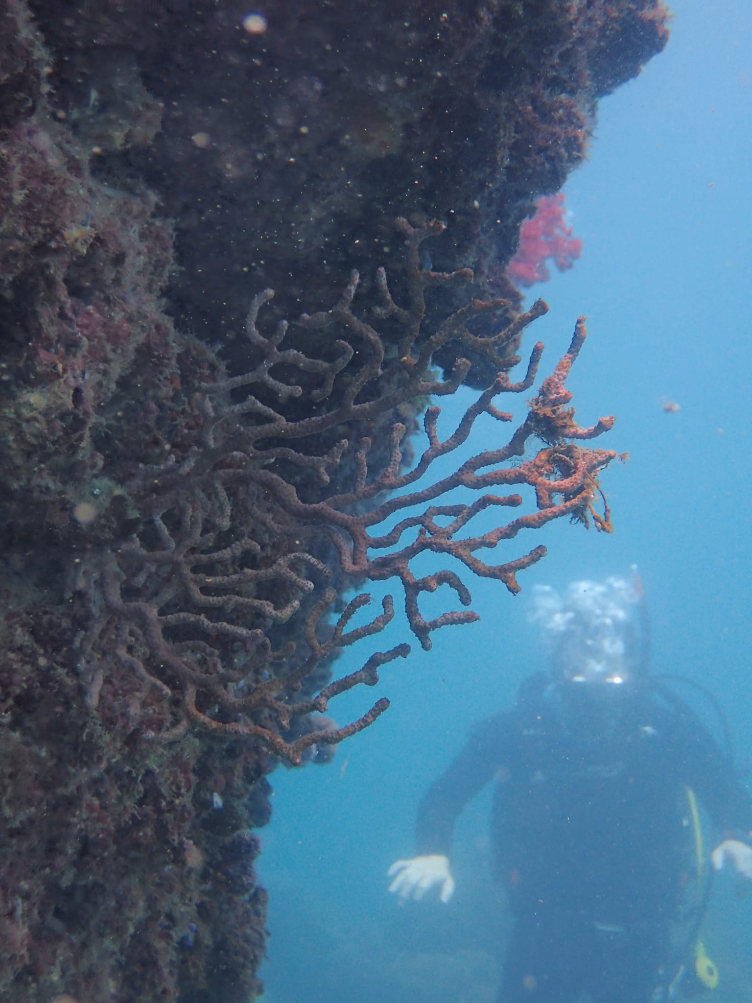 306741904_2670204793111025_2860436123795993845_n