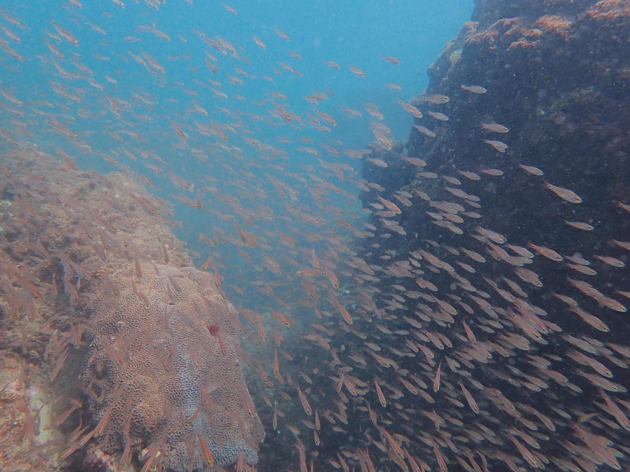 306780700_2670204749777696_930989780614792178_n