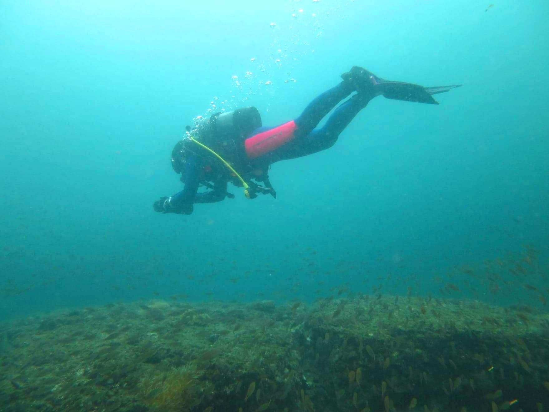 307169342_2673263549471816_8960783391984979912_n