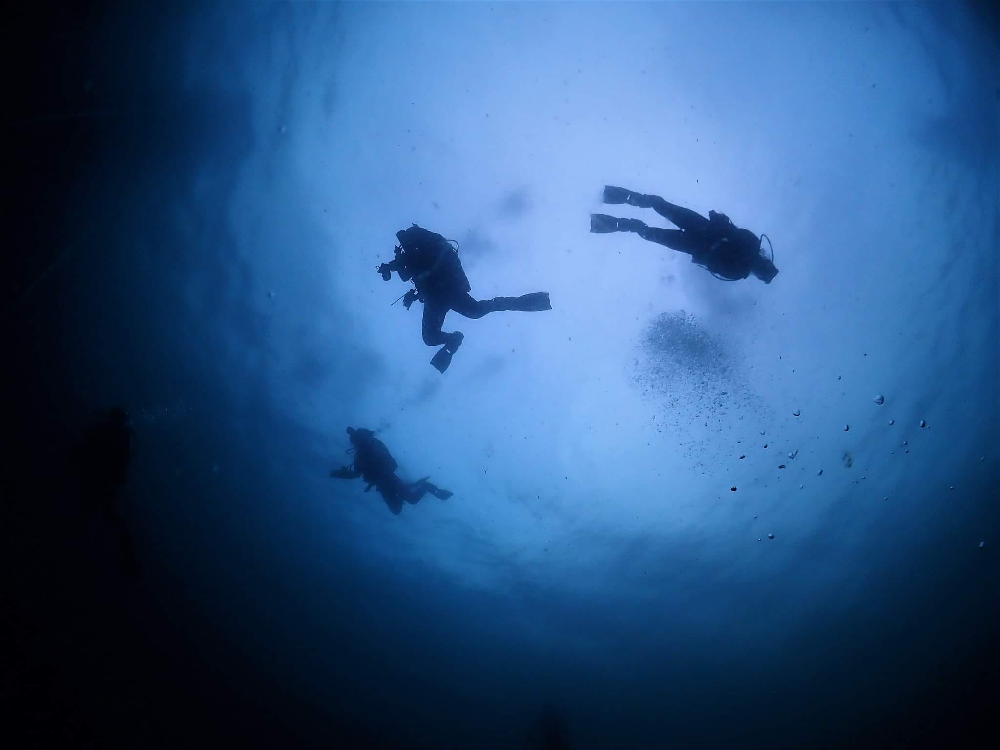 307268225_2672963249501846_1448798936541032240_n