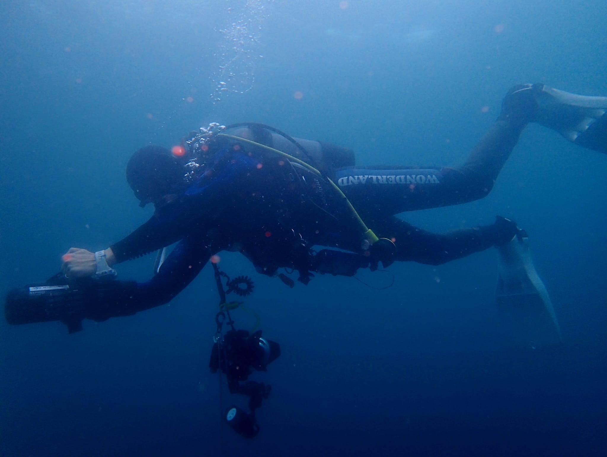 307564133_2672963409501830_7581715123954984689_n