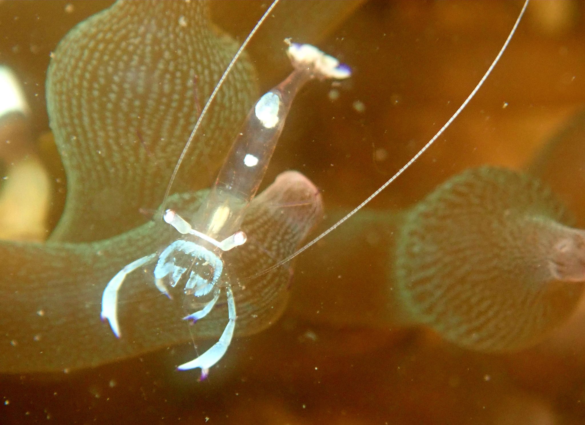 307581169_2672963326168505_1083292096915311255_n