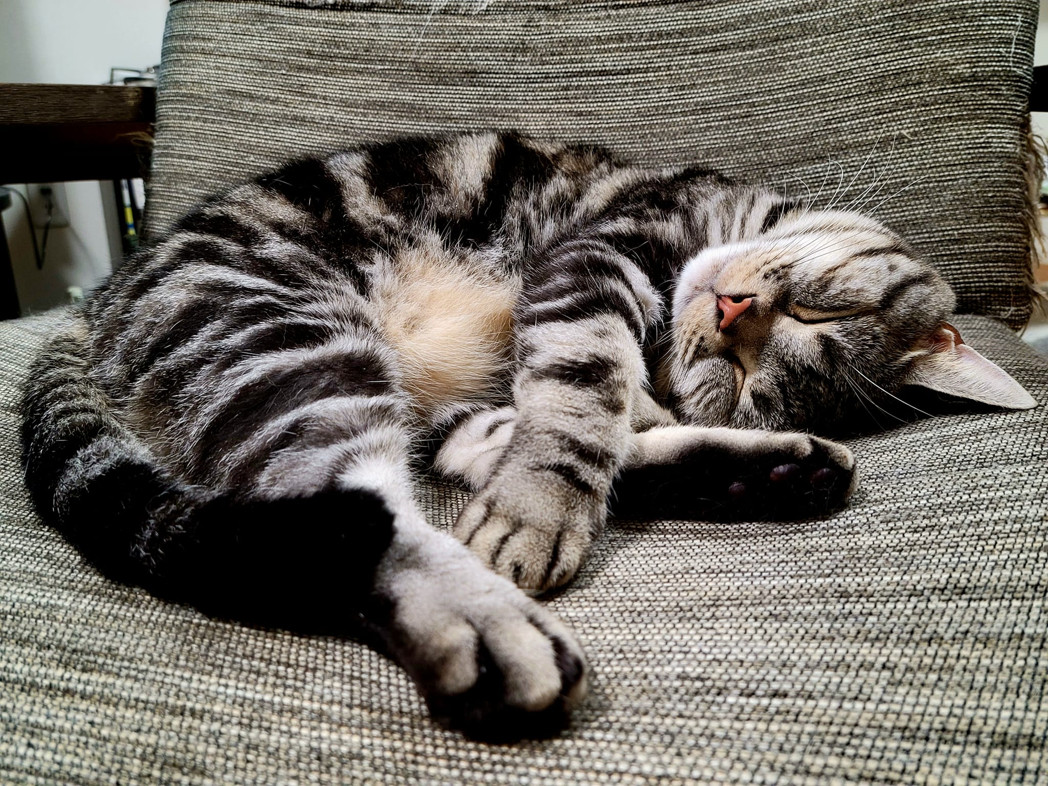 307681895_2674490566015781_7385347558090446260_n