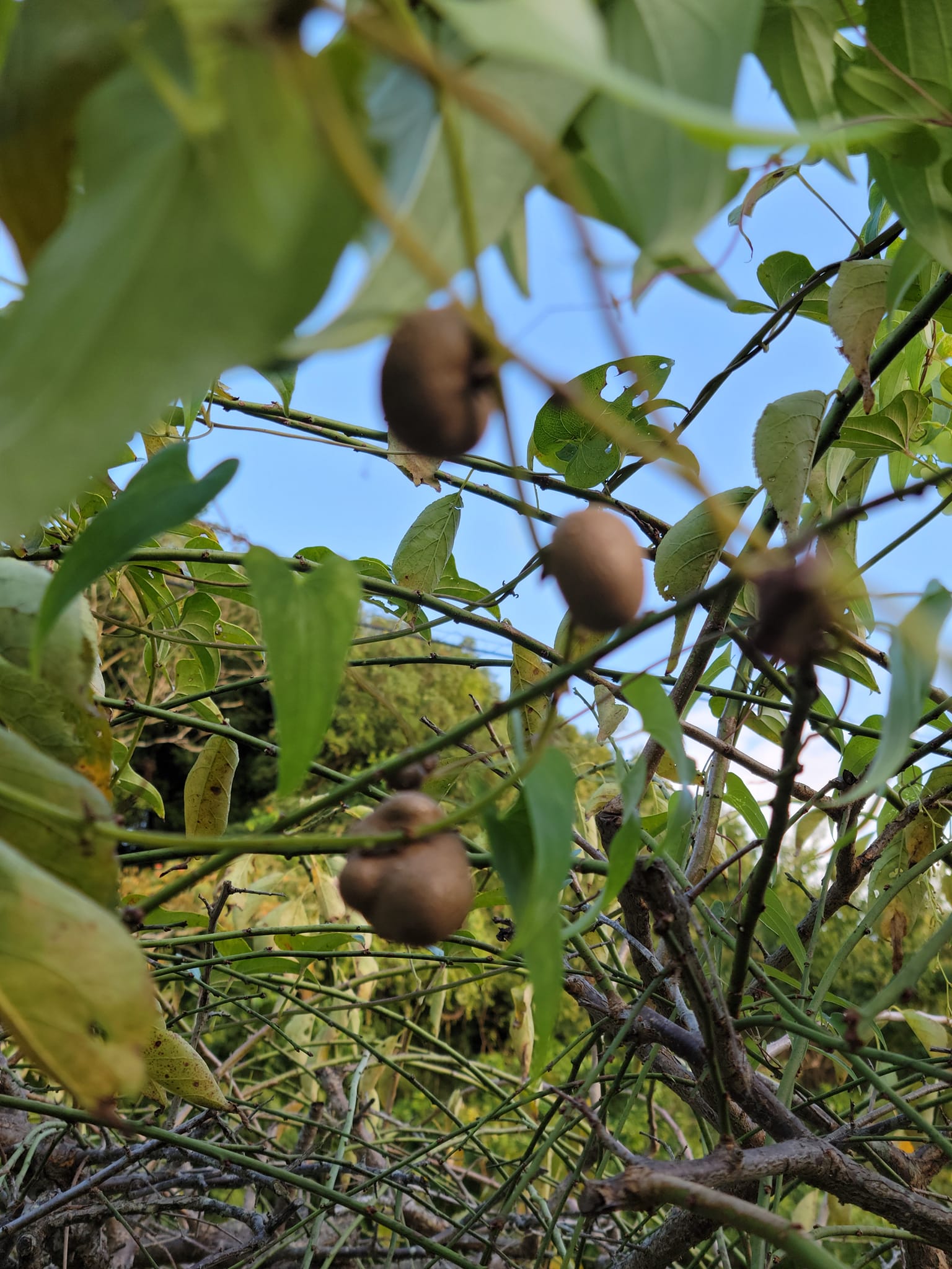 307965591_2675357912595713_4900813385258766625_n