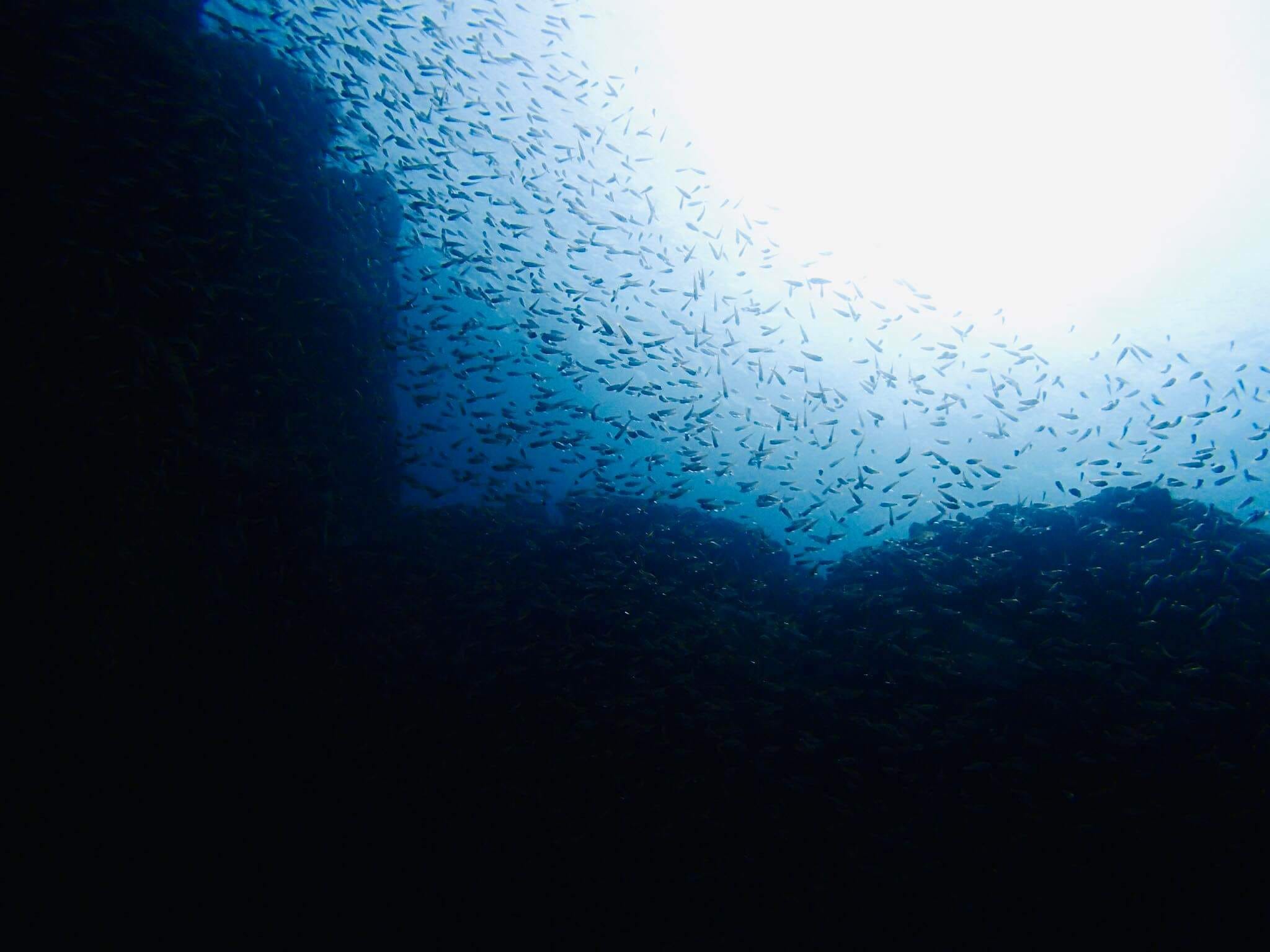 308454055_2679498898848281_664900344490326123_n