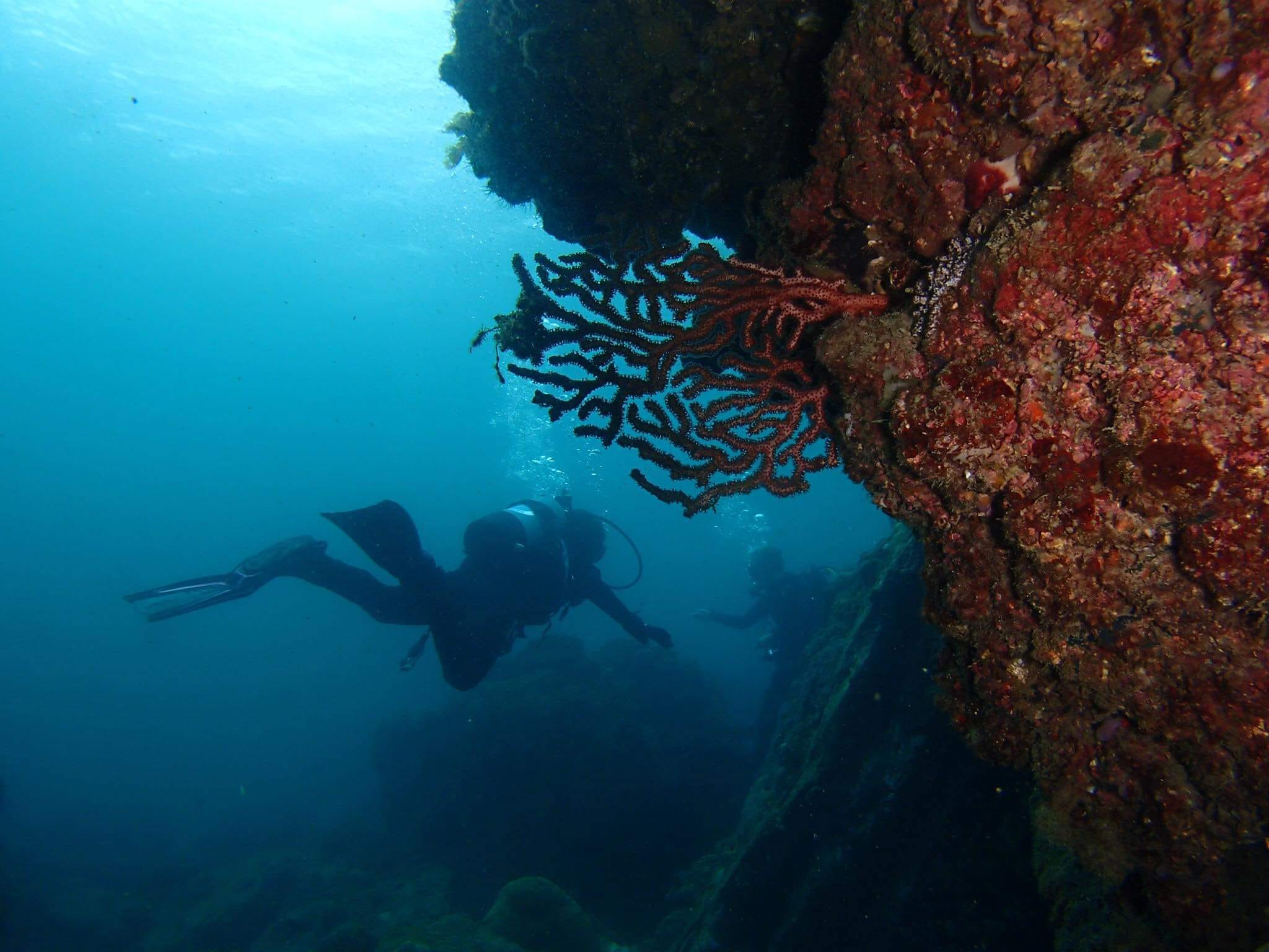 308591731_2679498838848287_1589256269334231623_n