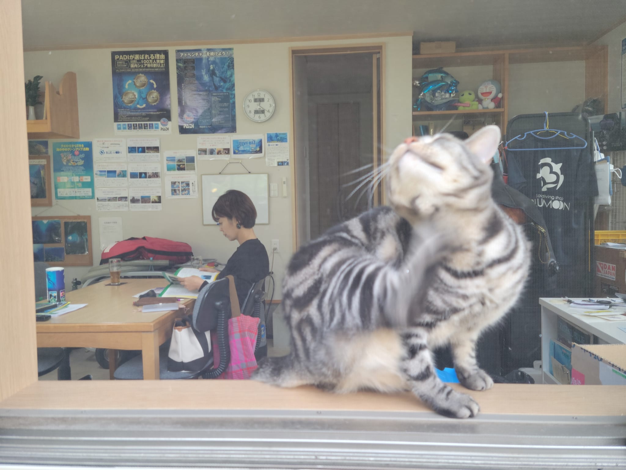 310610908_2691669037631267_8601188457119370703_n