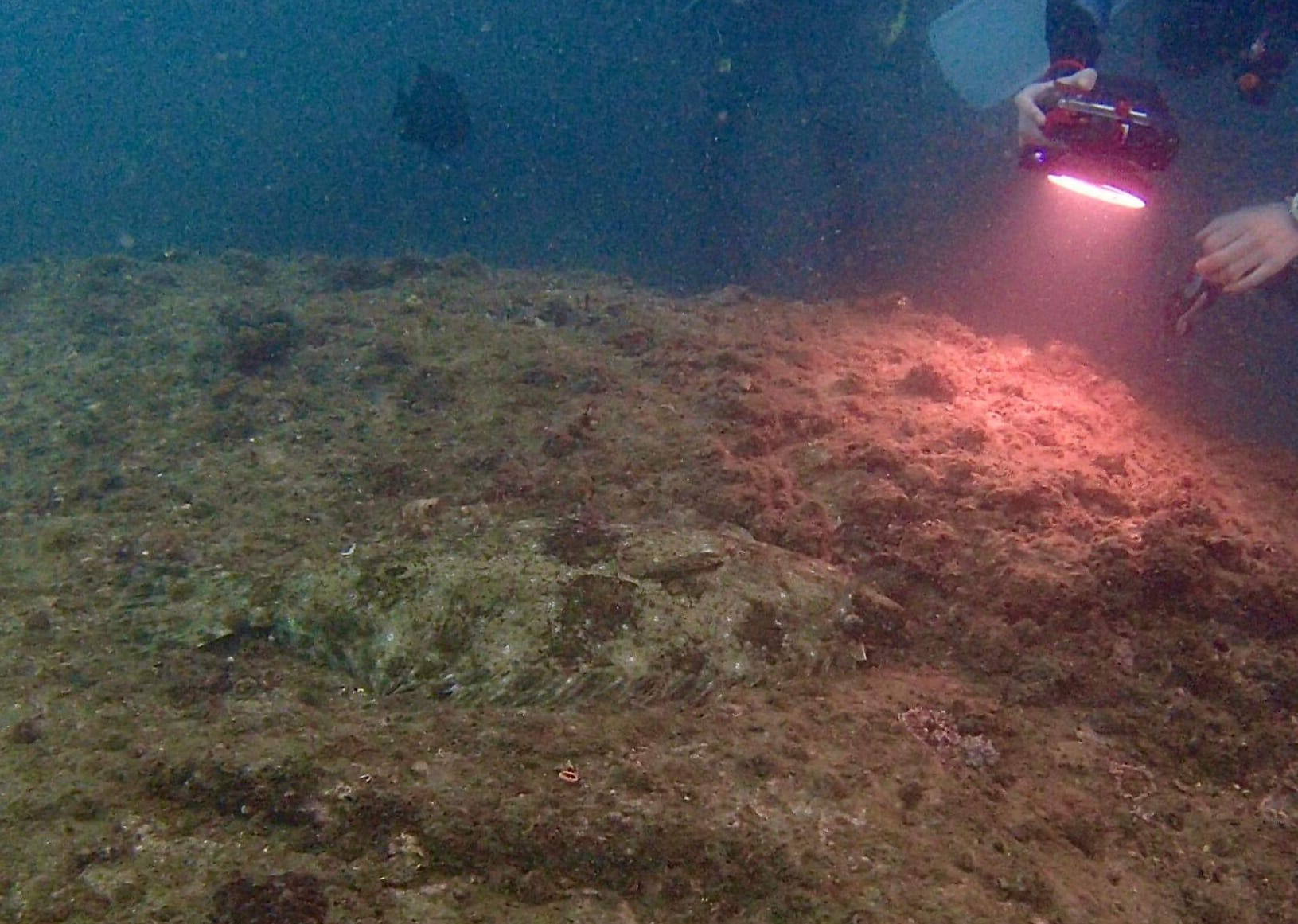 311295330_2695613363903501_329207669868259183_n