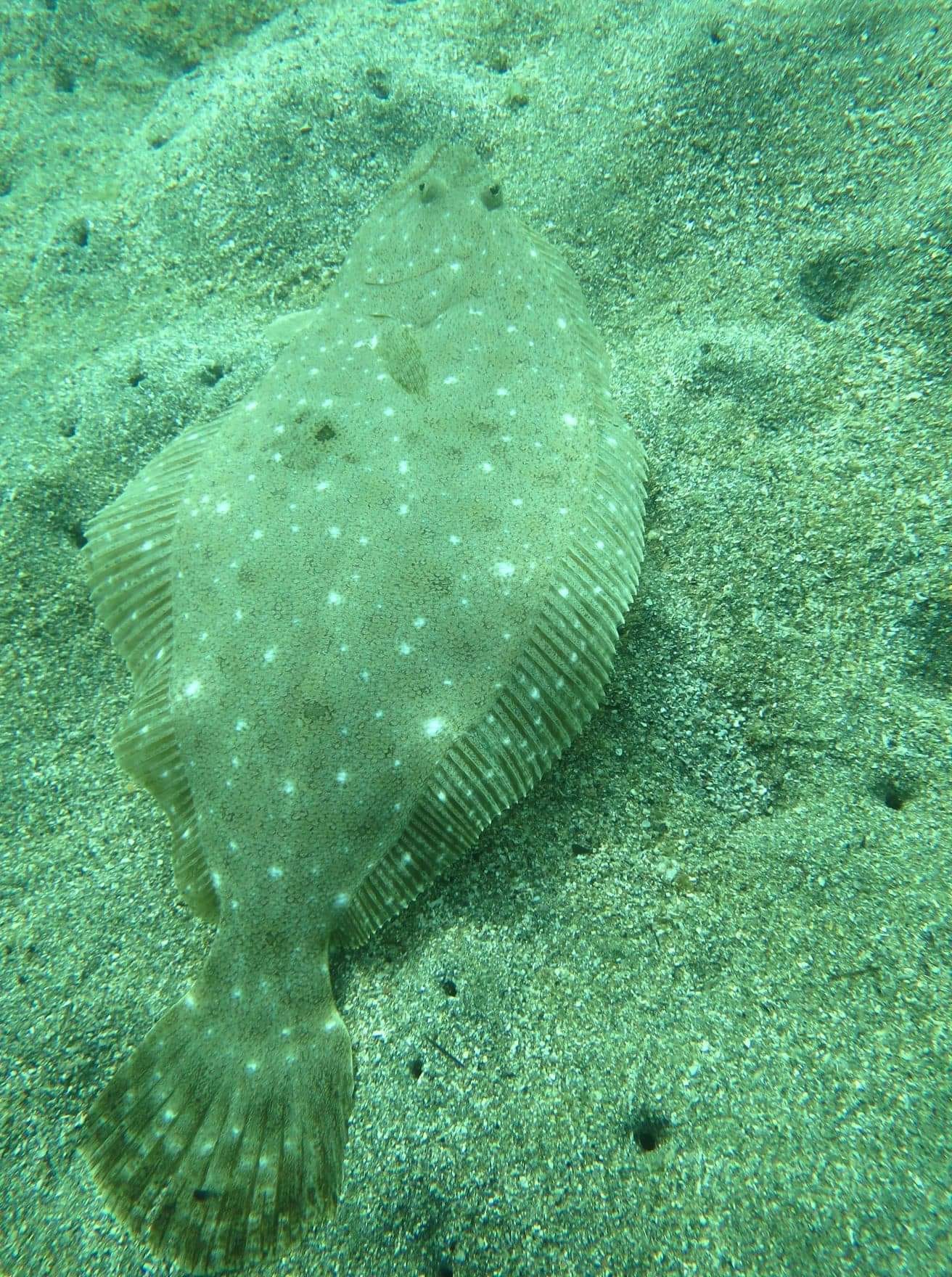 311485490_2702845776513593_3390579430537990031_n