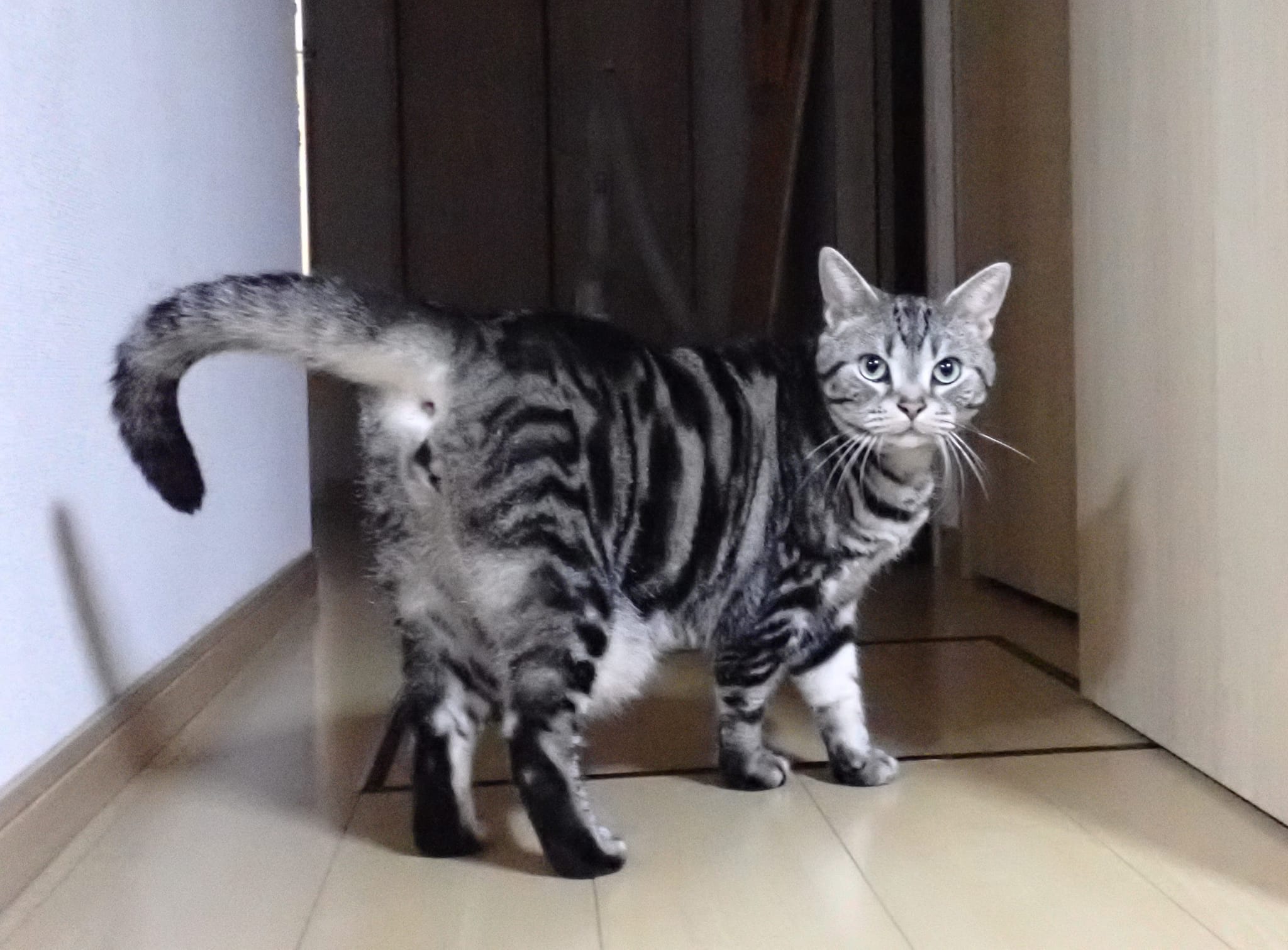 311713801_2703793659752138_8680845975210118172_n