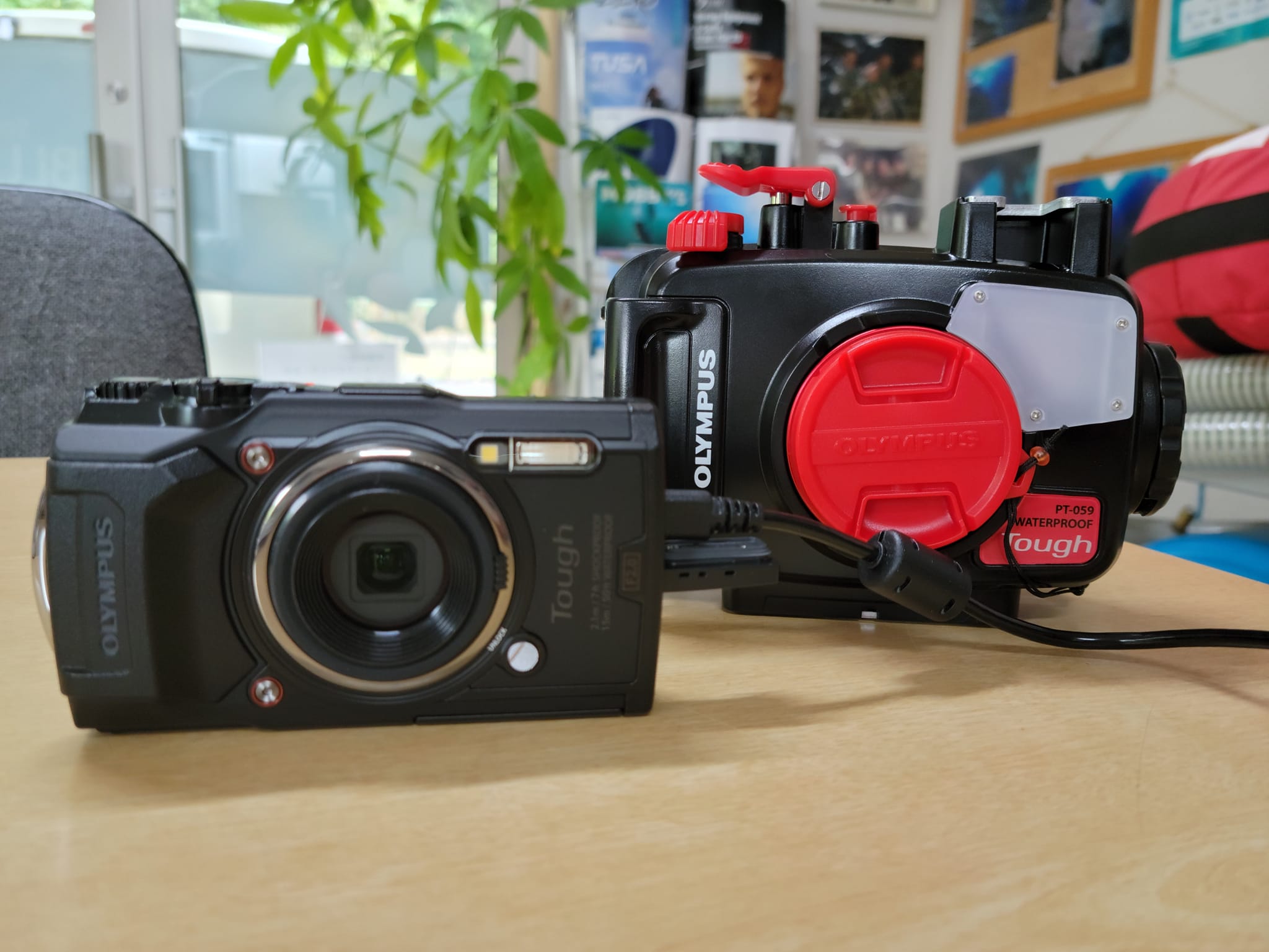 311969767_2703105519820952_2790128280095121534_n