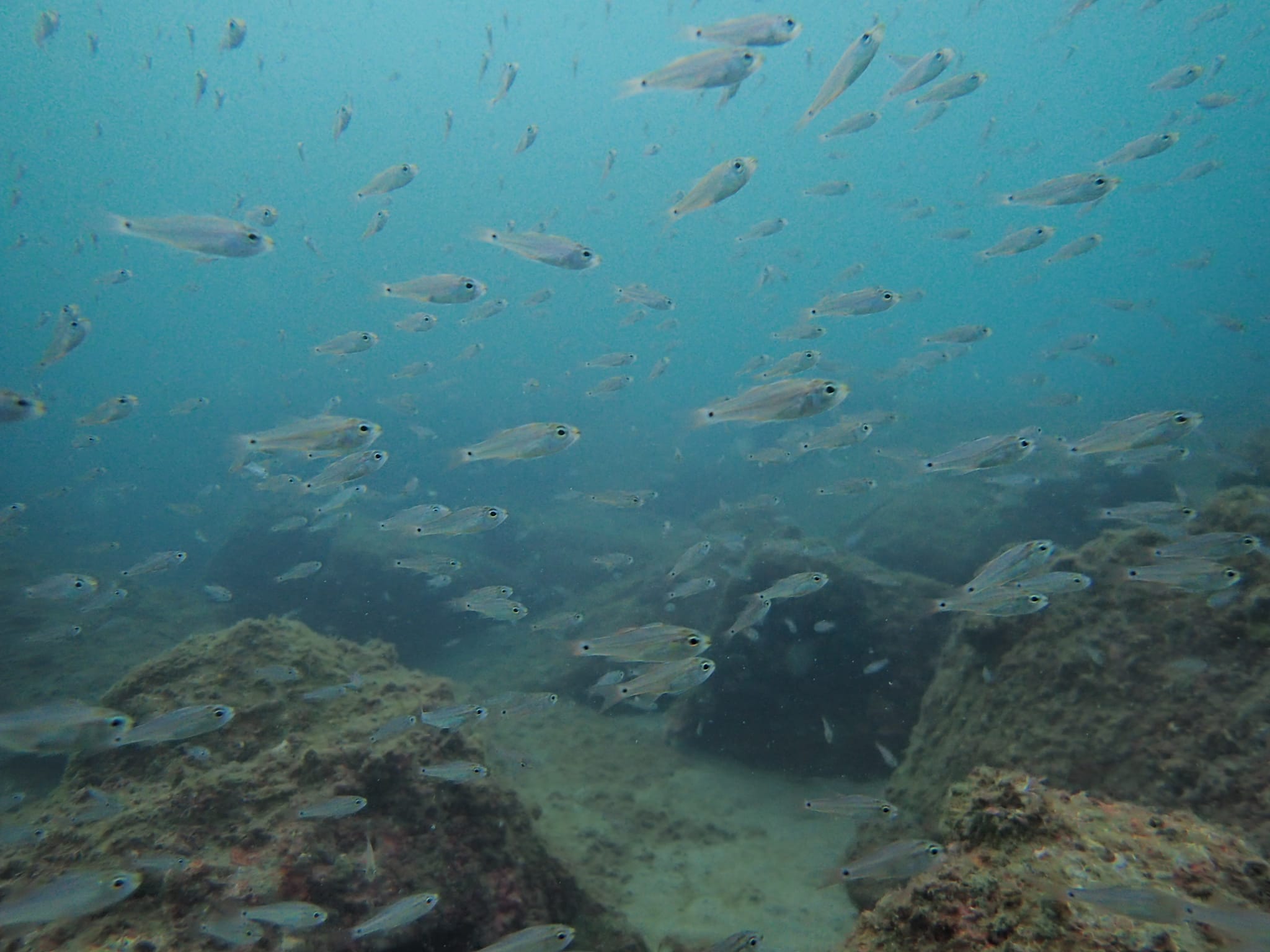 311861330_2717534538378050_1552855993519261860_n