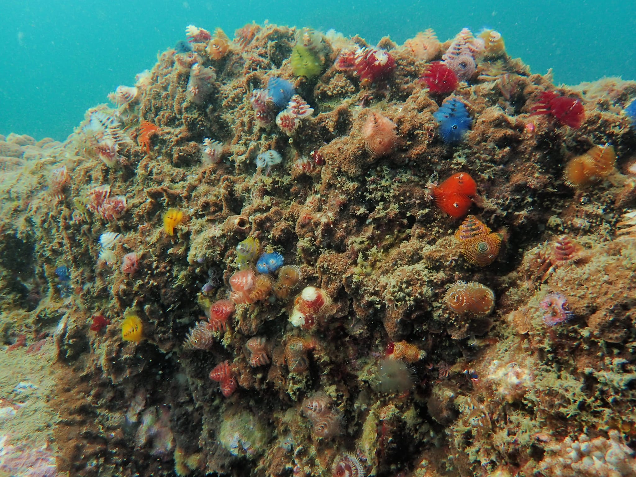 312048842_2717534498378054_7596041052459512941_n