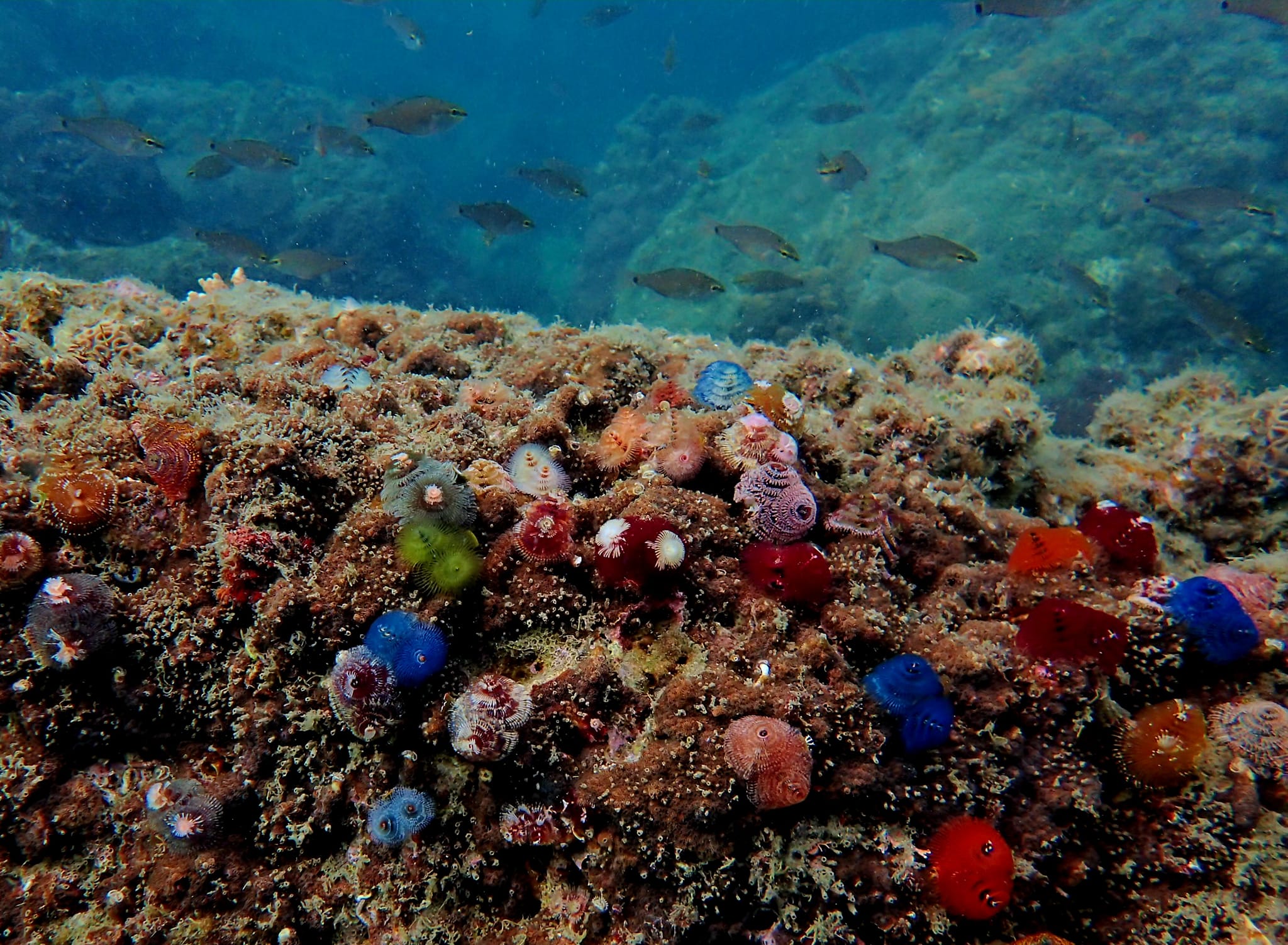 314492357_2730092490455588_8826580485039556980_n