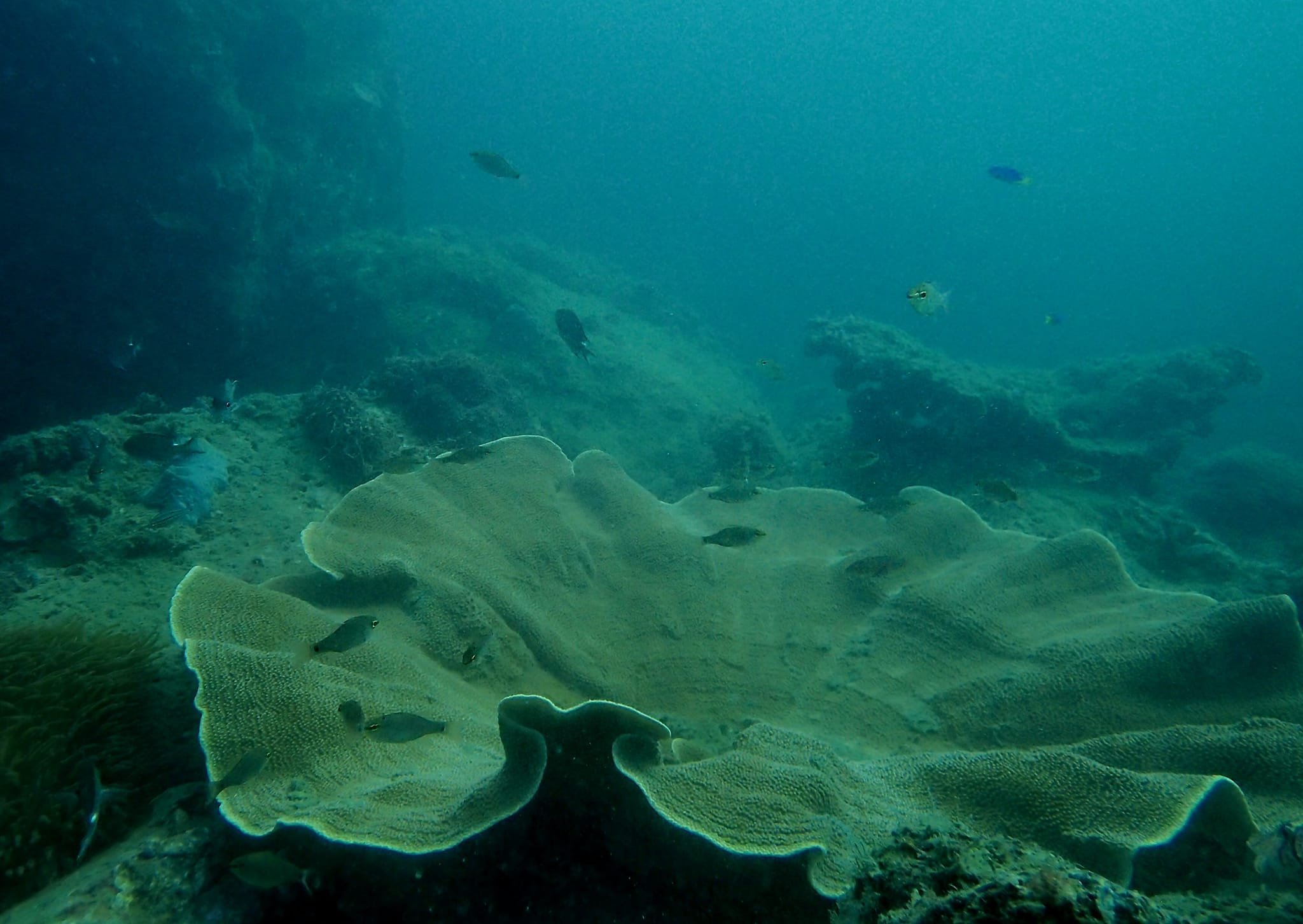 314735065_2730092573788913_2854951158721714599_n