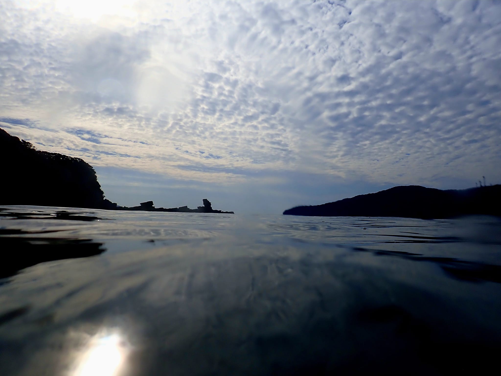 315004647_2730092527122251_4557167255165301676_n