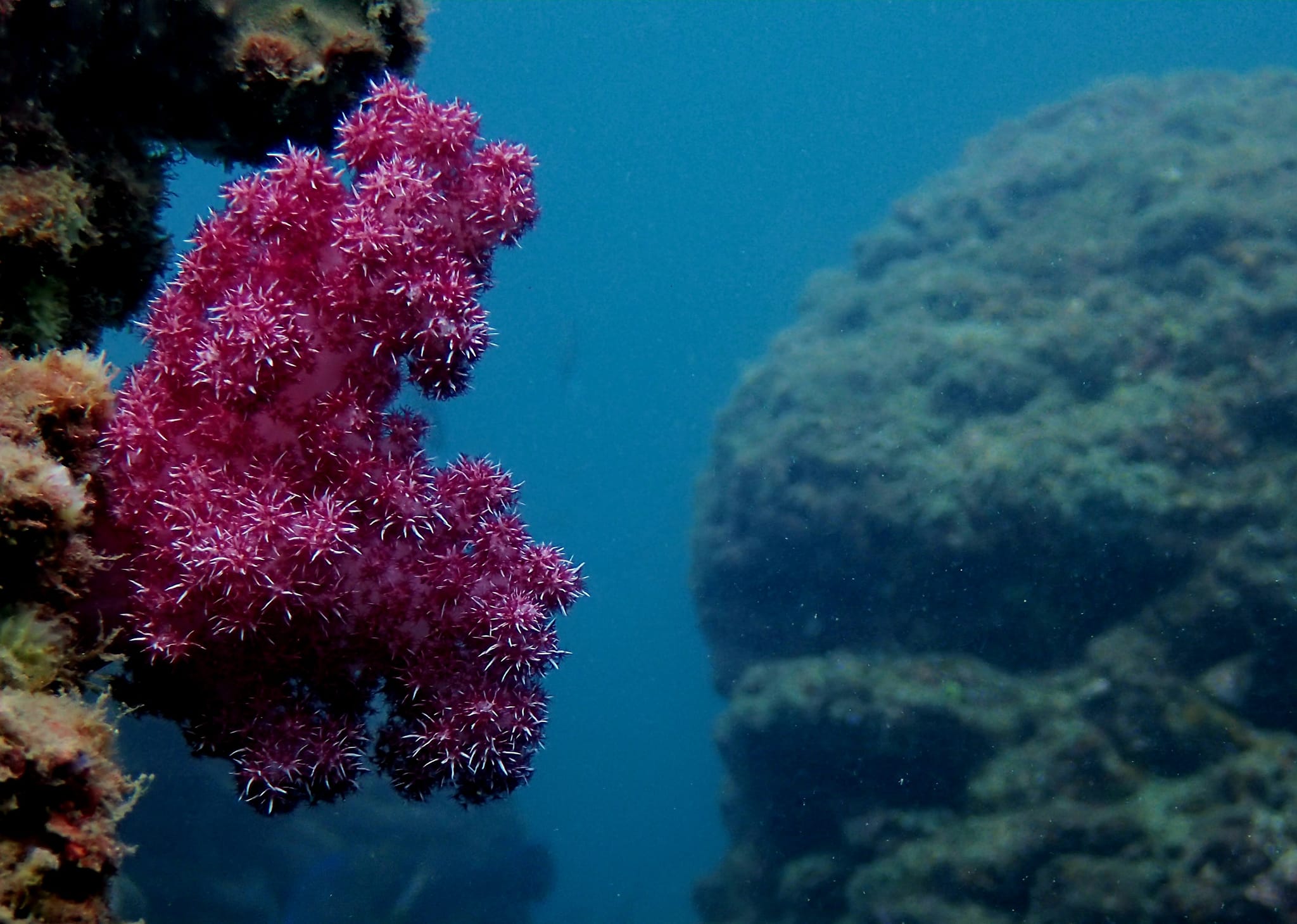 315033166_2730092620455575_2604977540797243019_n