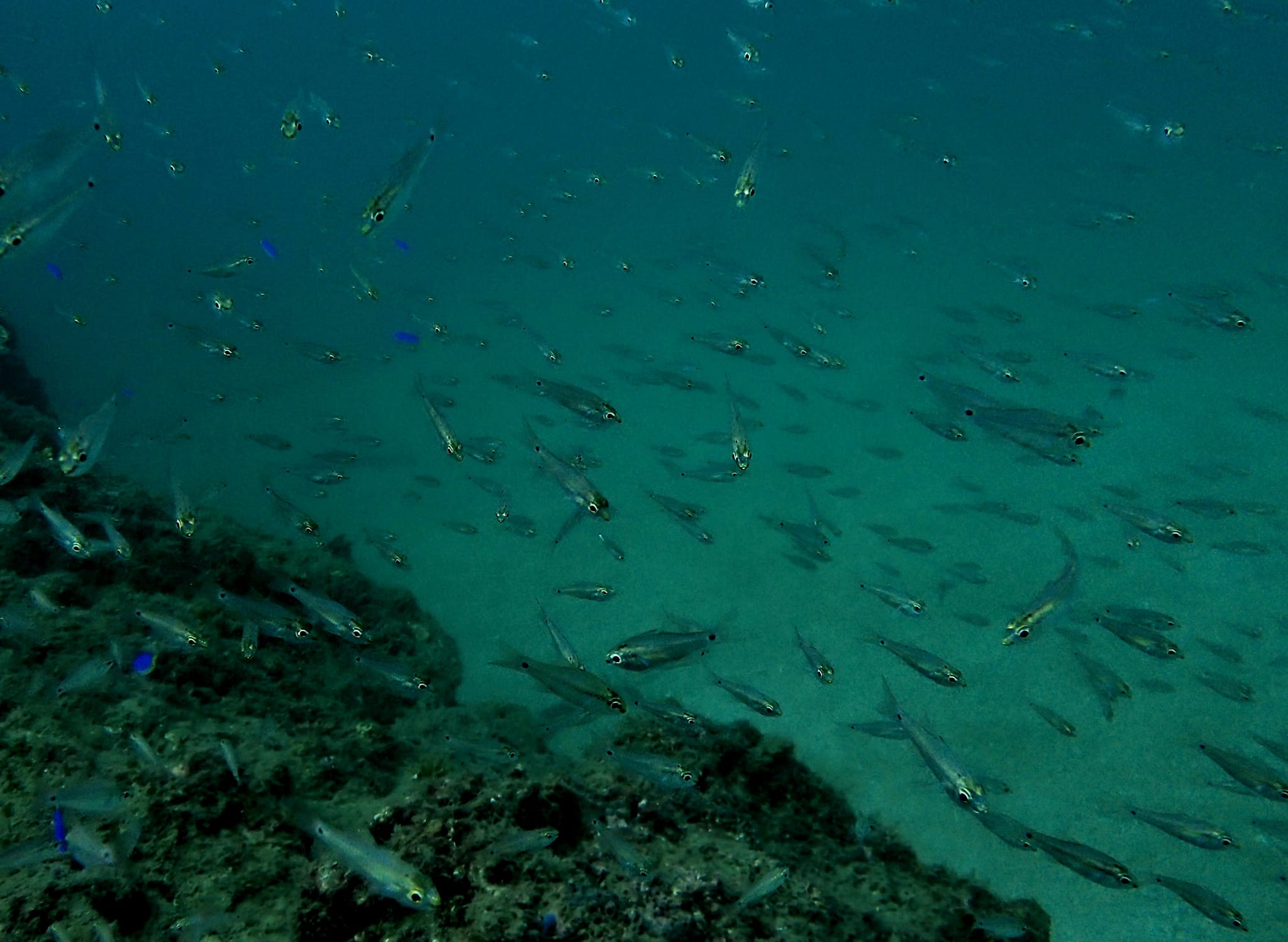 315039423_2730306283767542_8551345182842482529_n