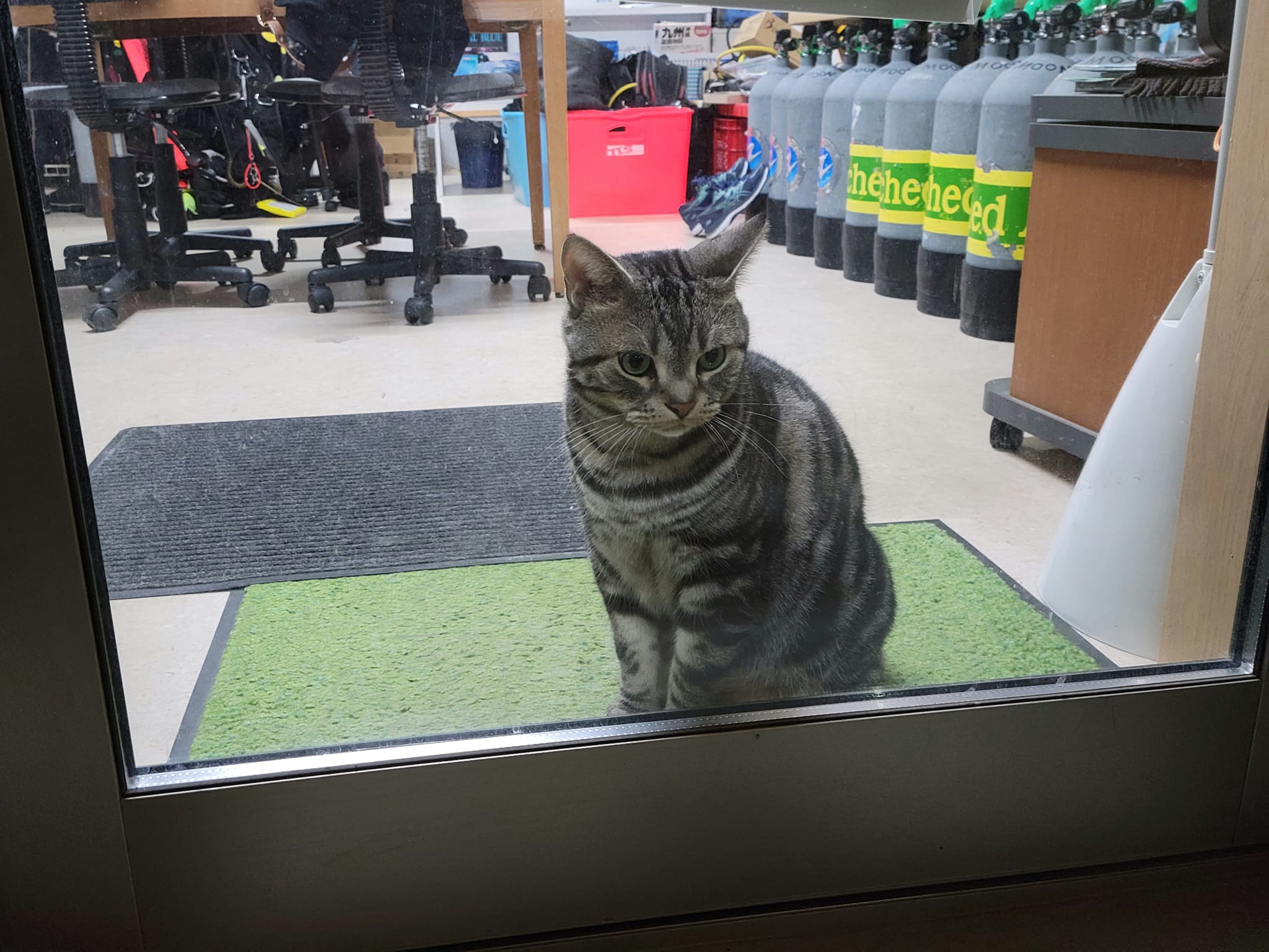 316681411_2743328315798672_5723039298675108572_n