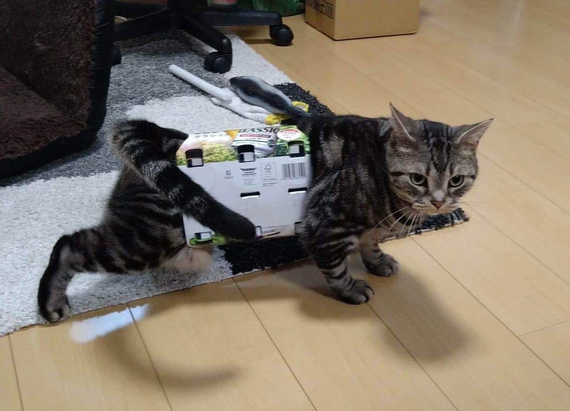 316937027_2743821079082729_4578332792368786066_n