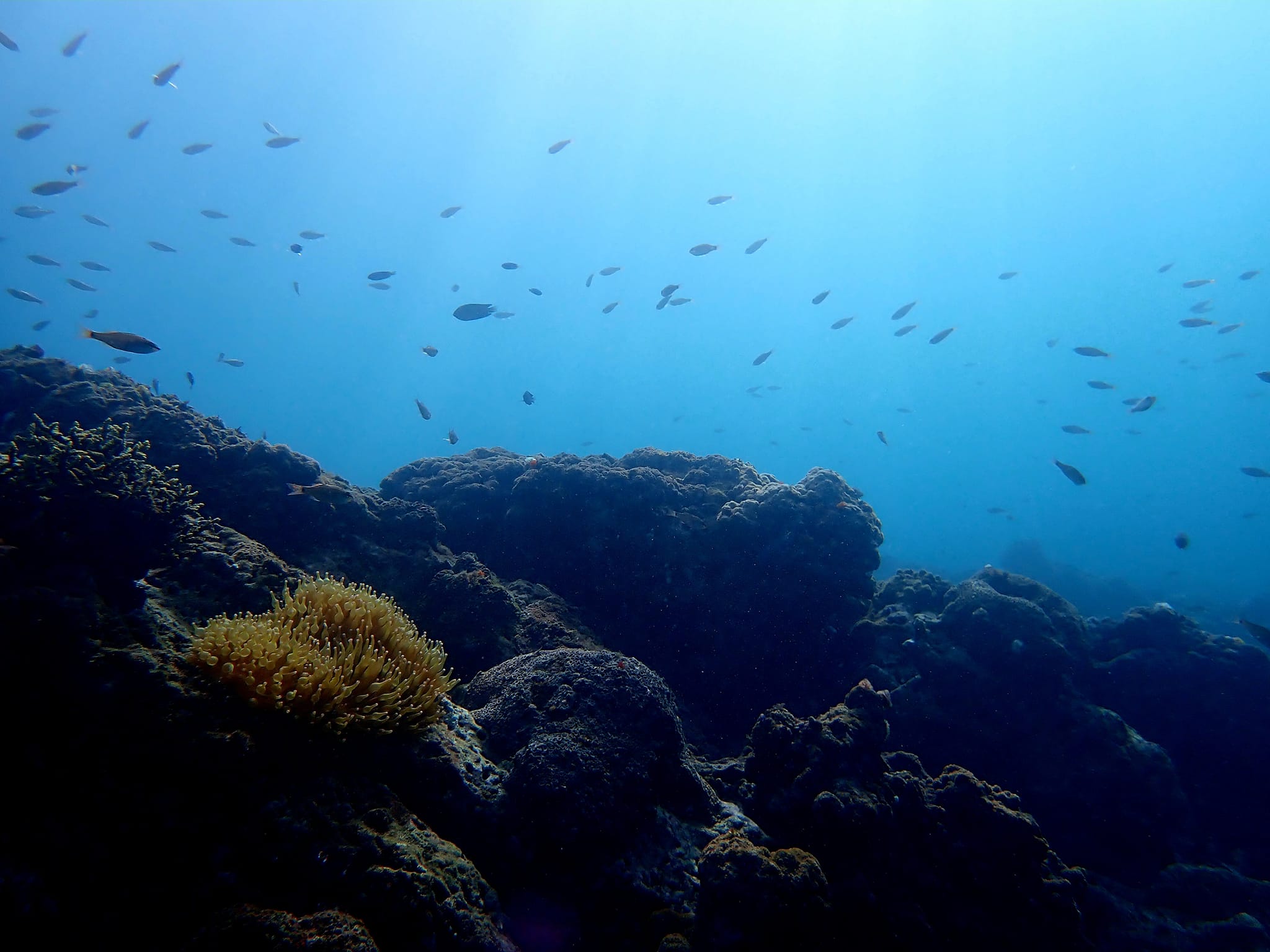 318162446_2749577988507038_2831777252701934516_n